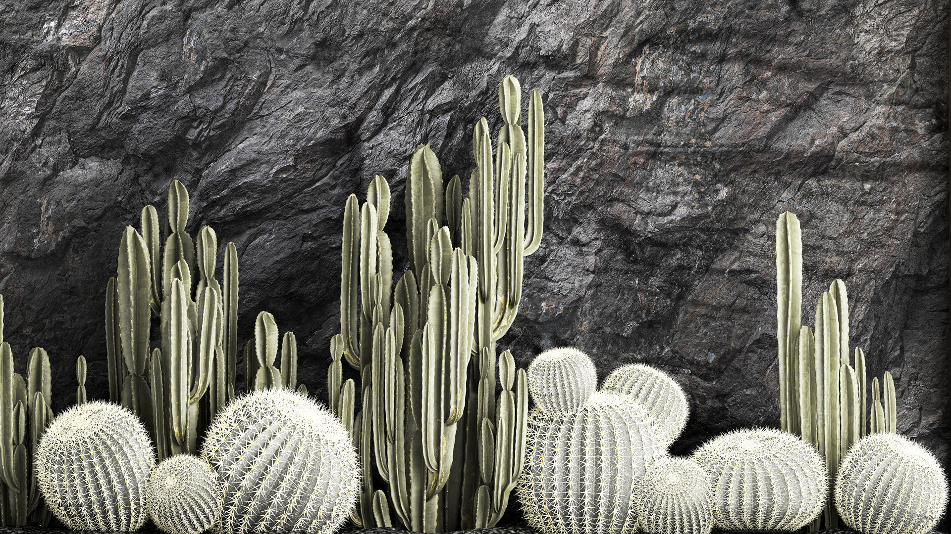 Beautiful cacti and a wall of black rock and pebbles 1279 3D model_1
