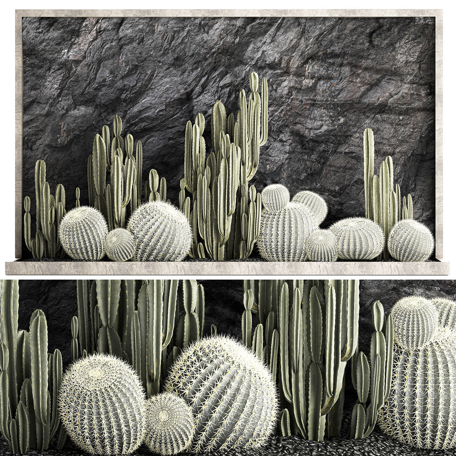 Beautiful cacti and a wall of black rock and pebbles 1279 3D model_8