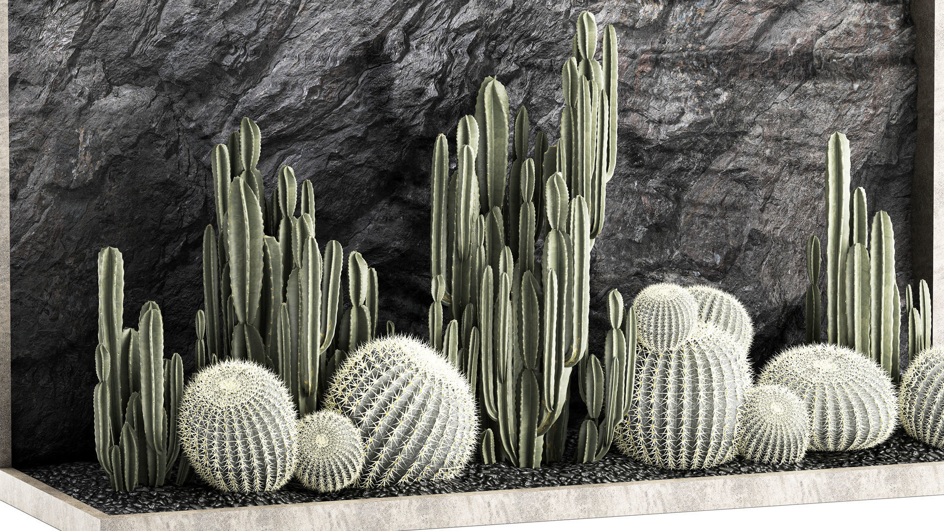 Beautiful cacti and a wall of black rock and pebbles 1279 3D model_3