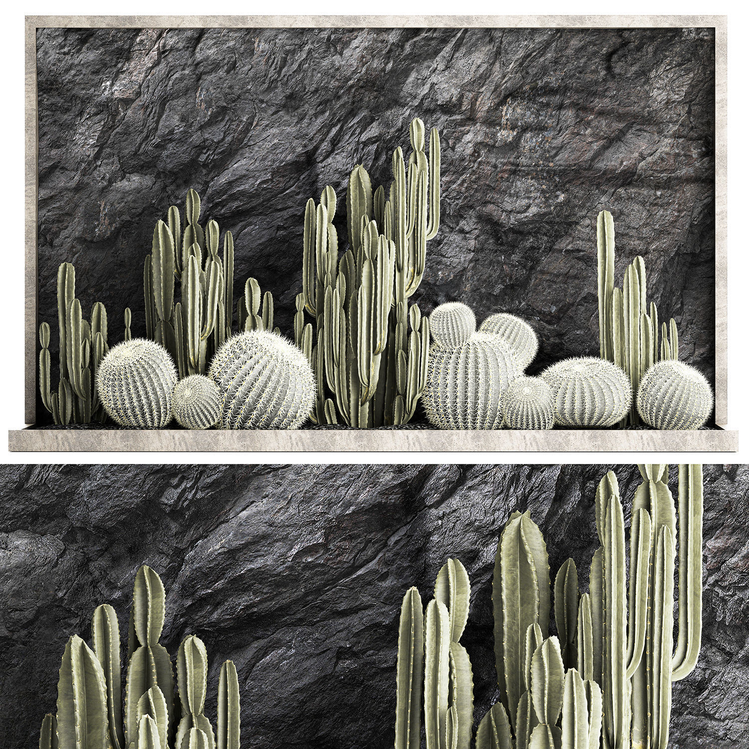Beautiful cacti and a wall of black rock and pebbles 1279 3D model_16