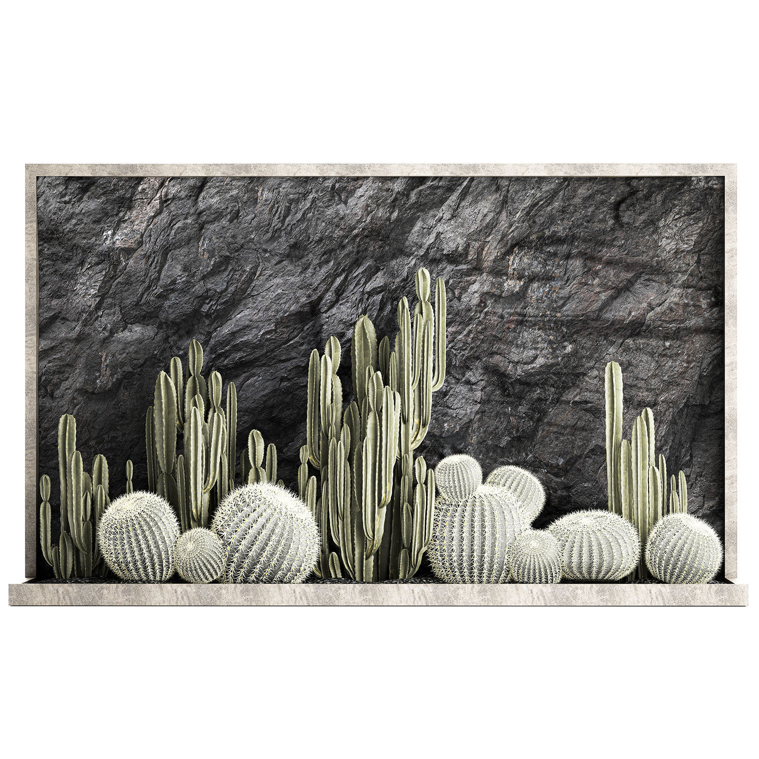 Beautiful cacti and a wall of black rock and pebbles 1279 3D model_9