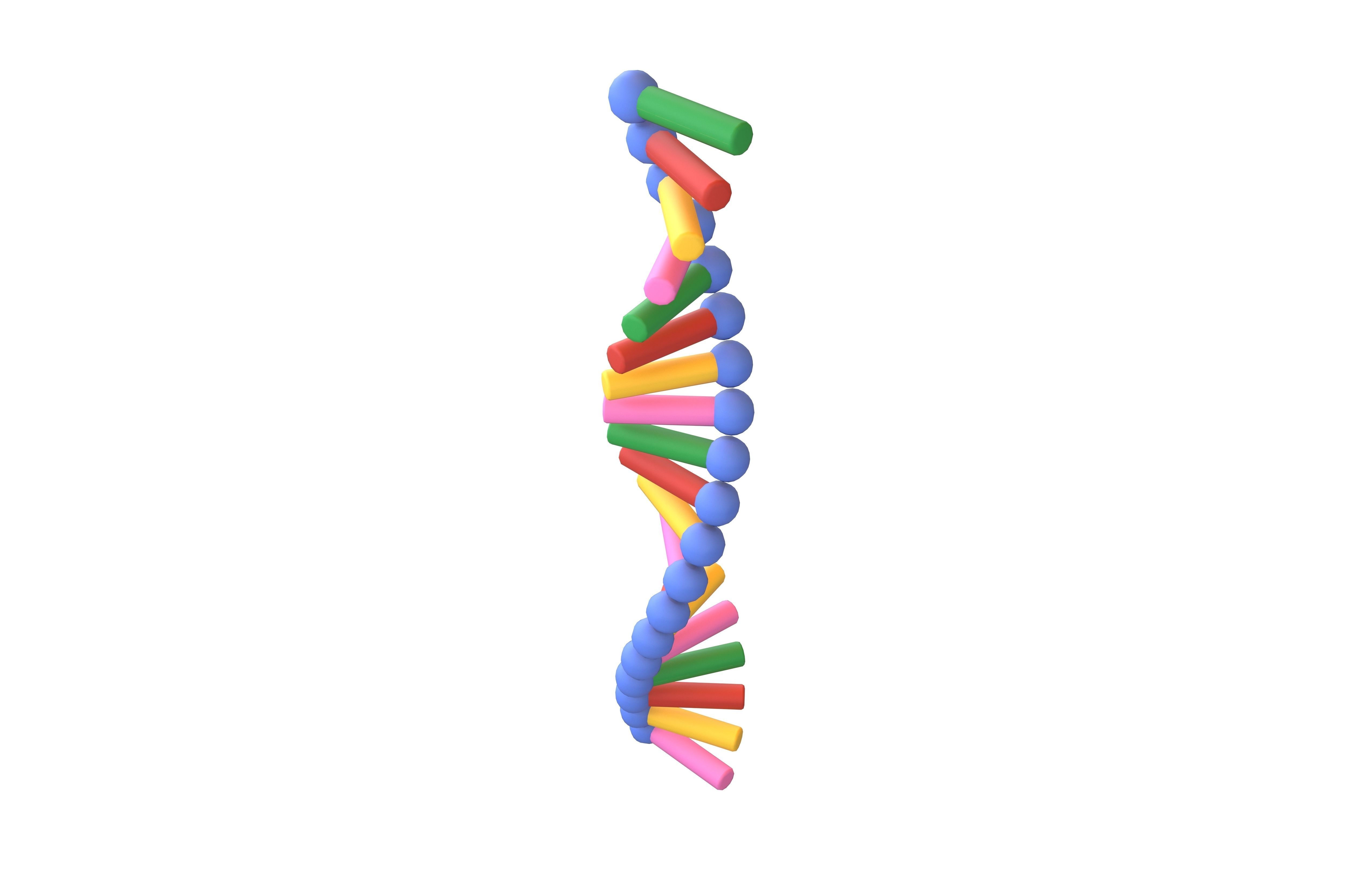 Cartoon RNA Molecule v1 001 Low-poly 3D model_2