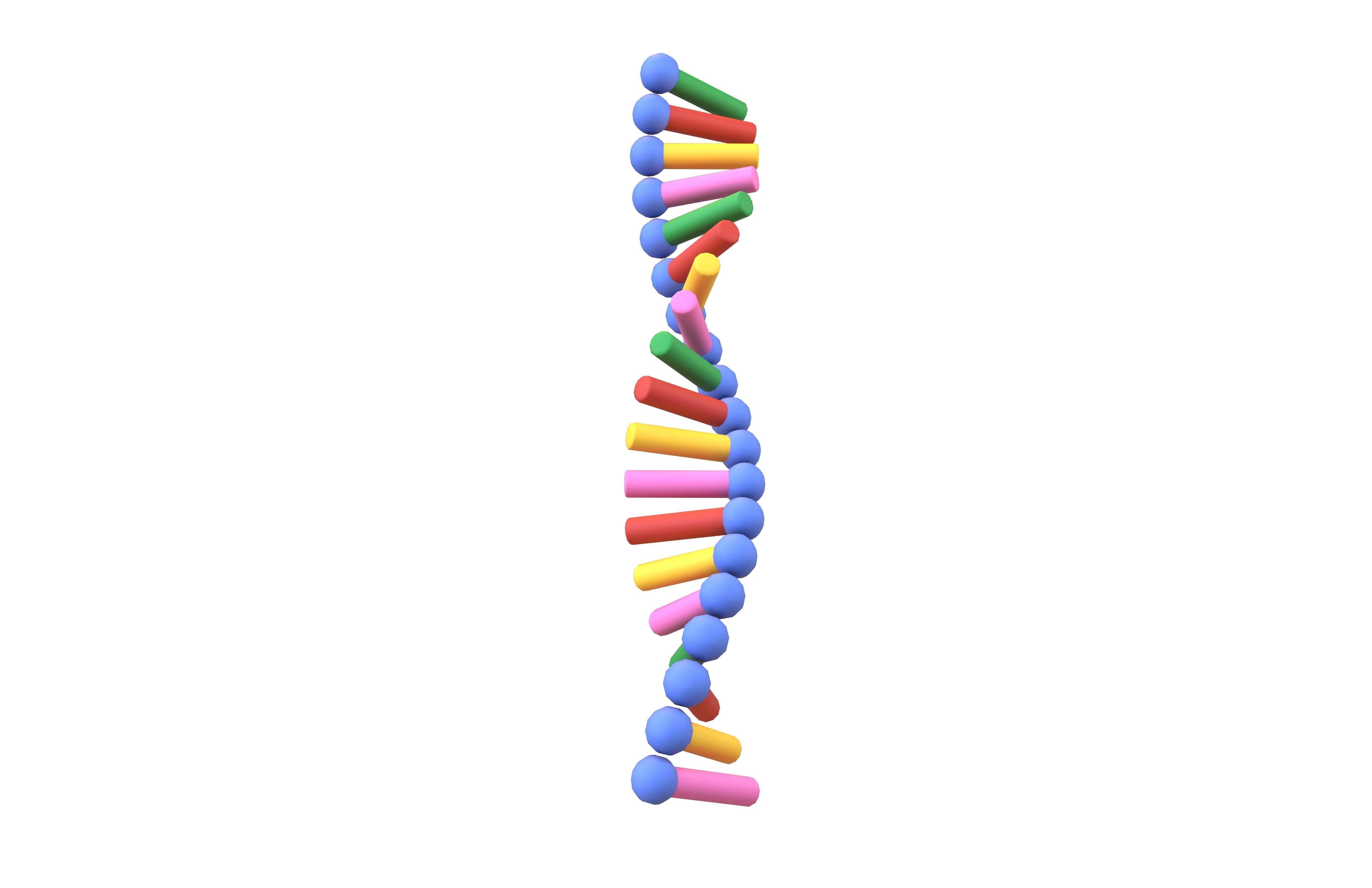 Cartoon RNA Molecule v1 001 Low-poly 3D model_3