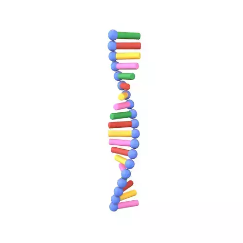 Cartoon RNA Molecule v1 001 Low-poly 3D model