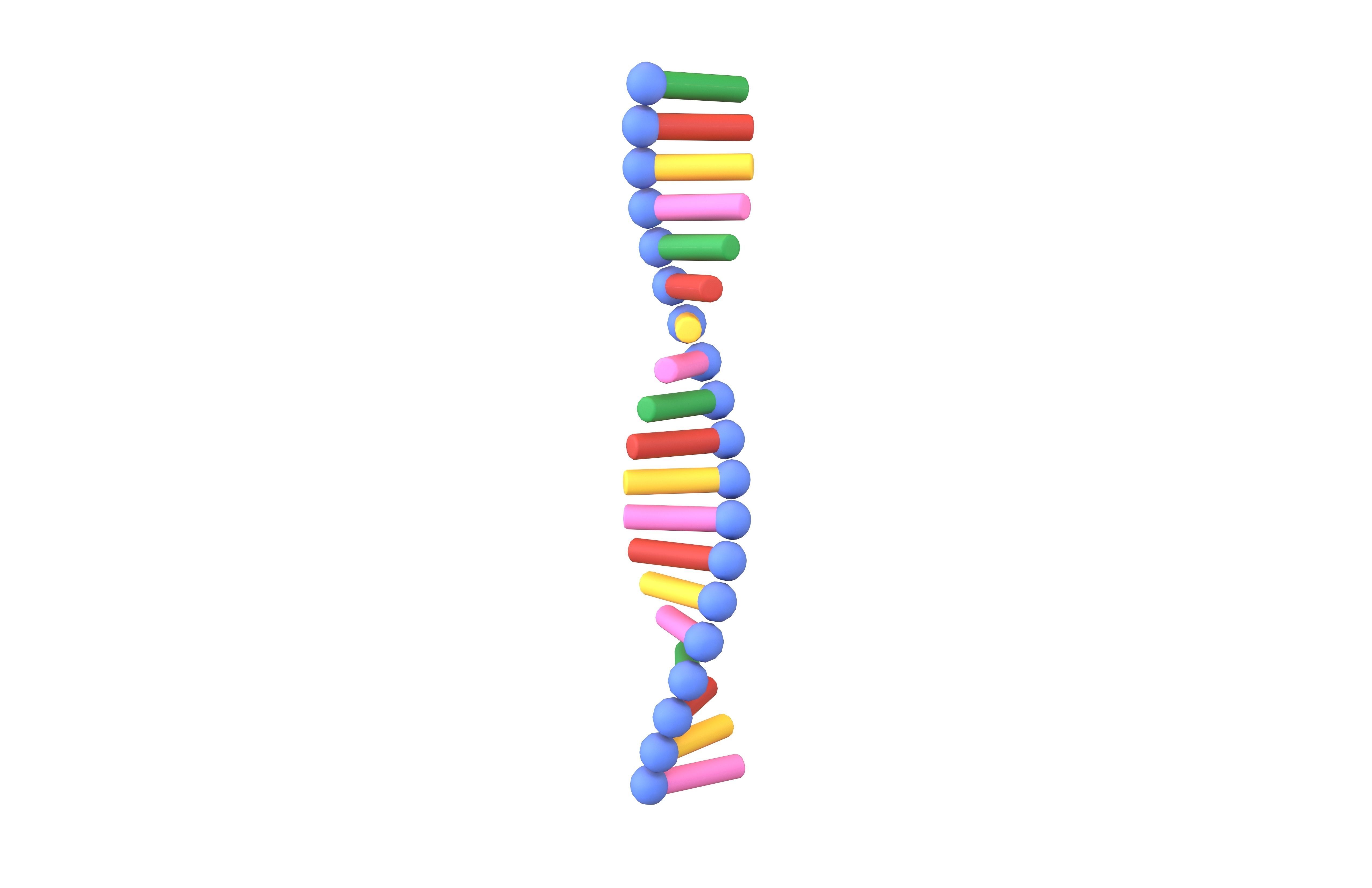 Cartoon RNA Molecule v1 001 Low-poly 3D model_1
