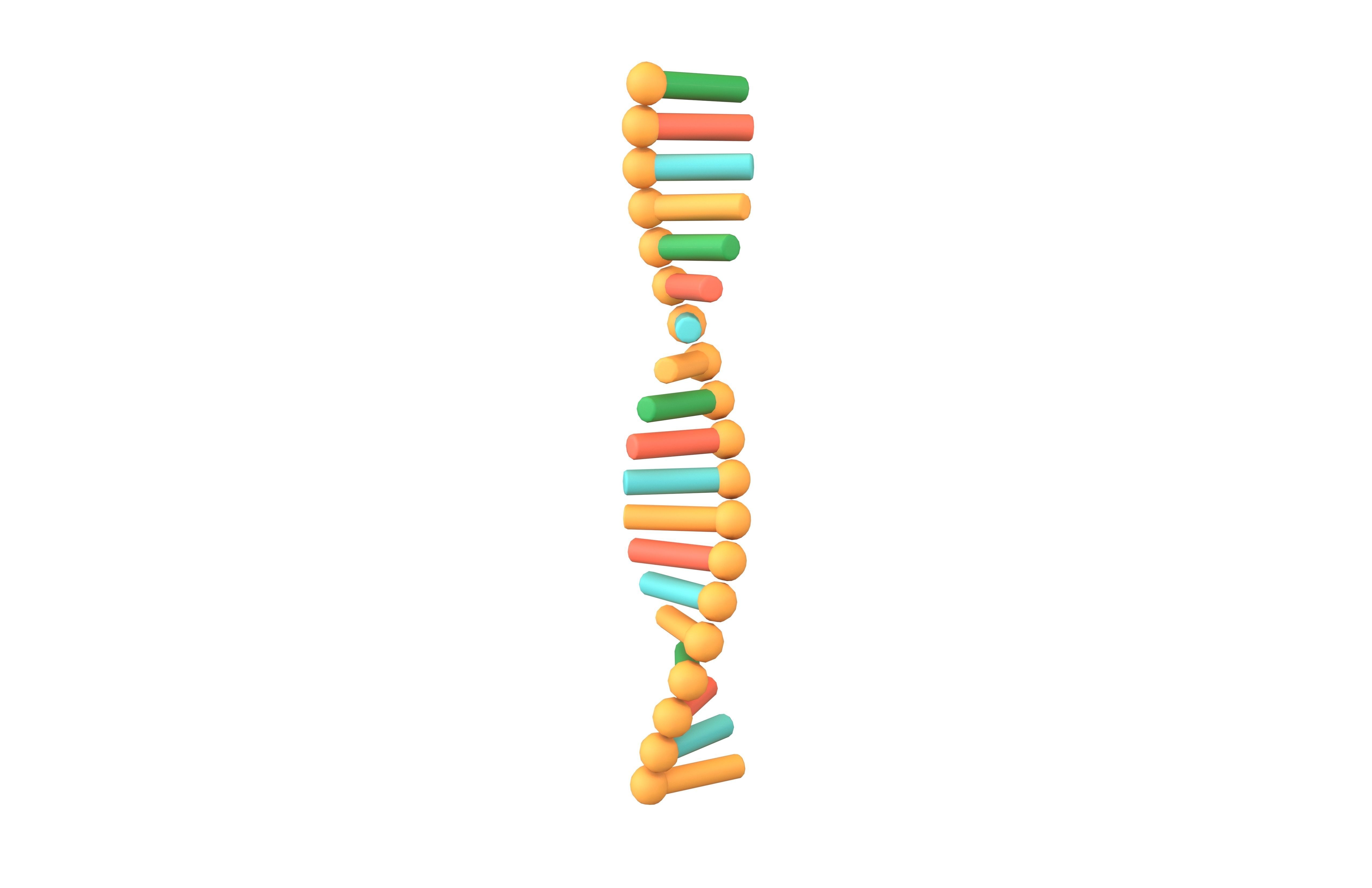 Cartoon RNA Molecule v1 002 Low-poly 3D model_1