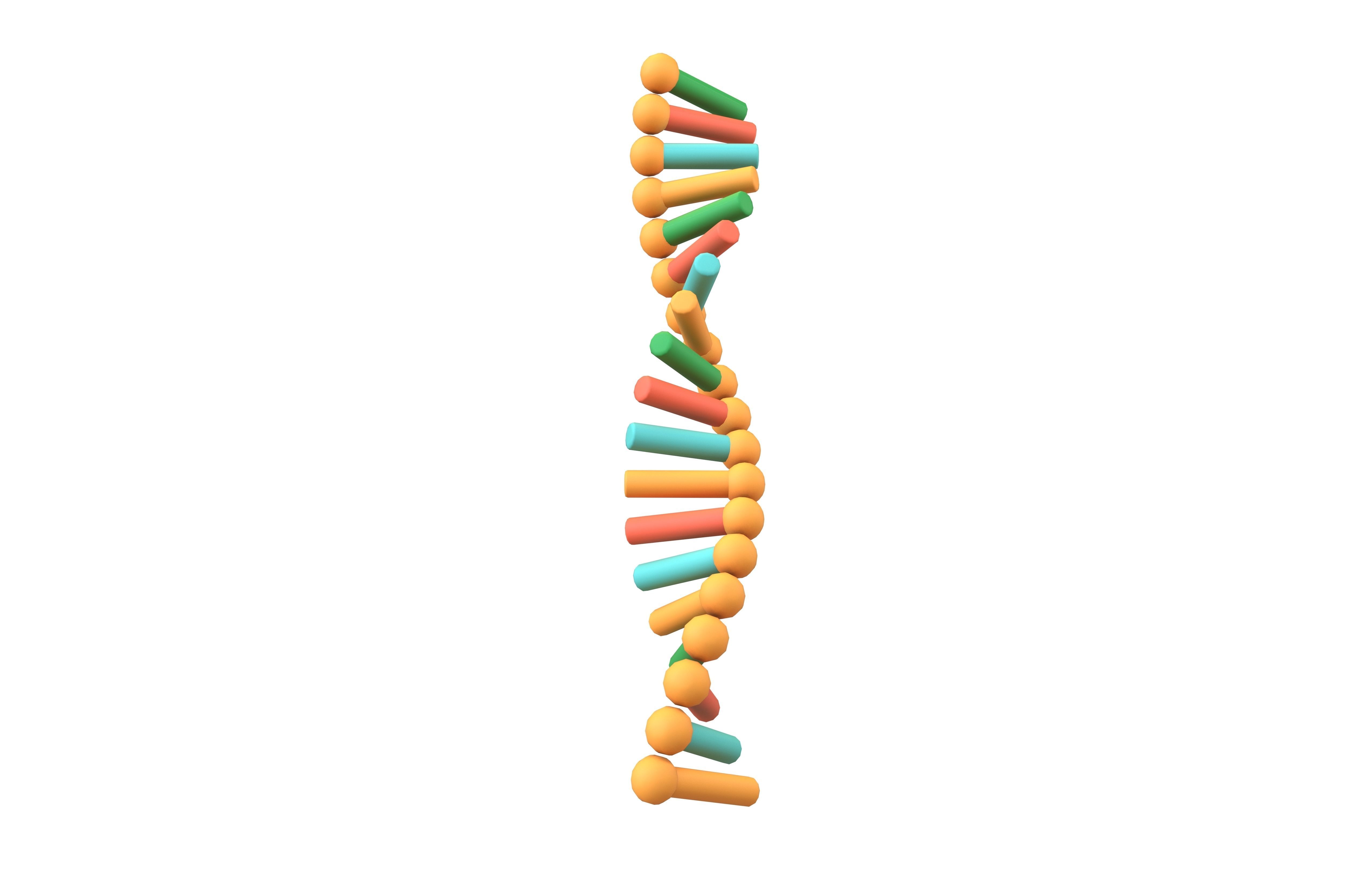Cartoon RNA Molecule v1 002 Low-poly 3D model_3