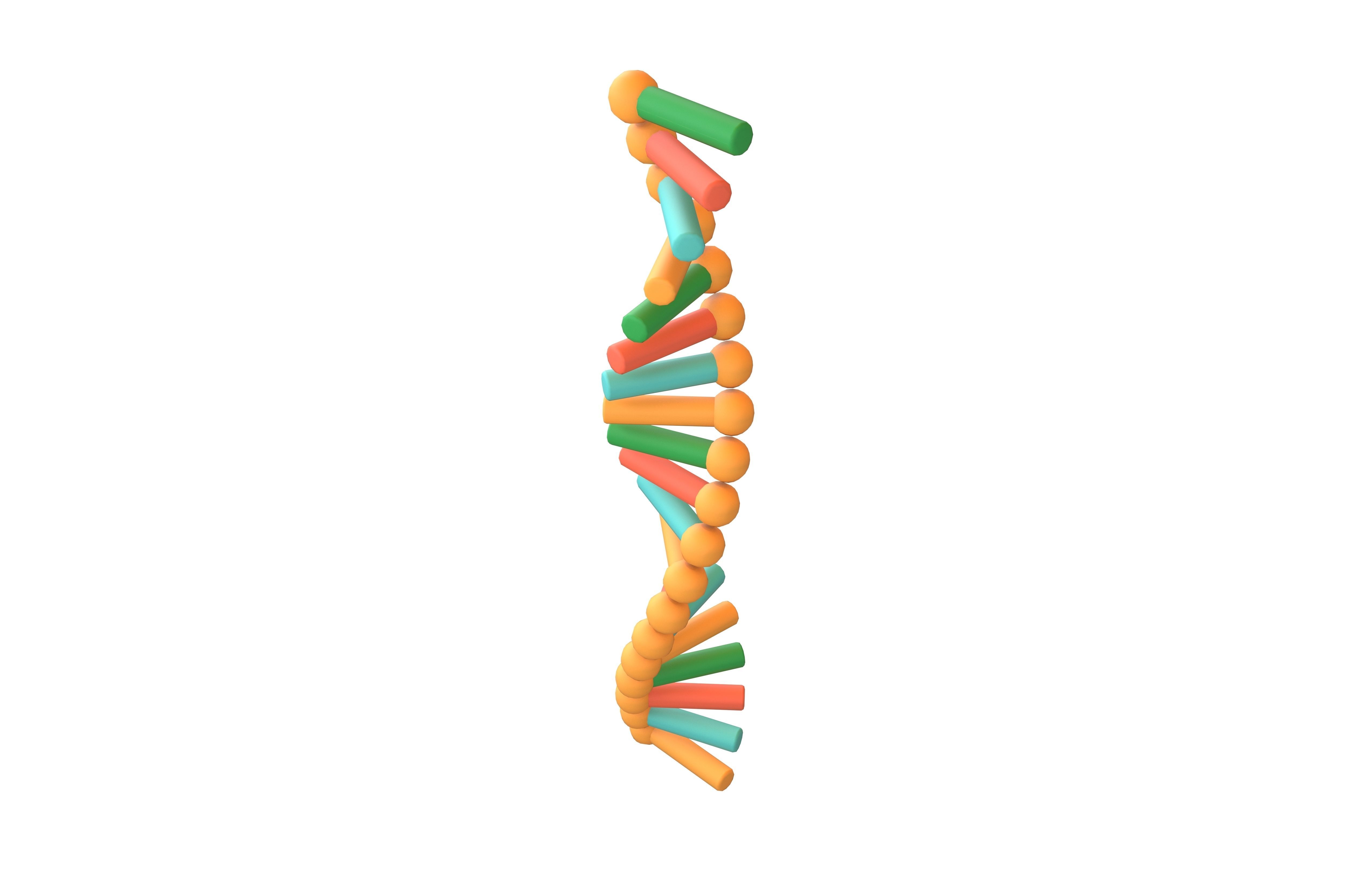 Cartoon RNA Molecule v1 002 Low-poly 3D model_2