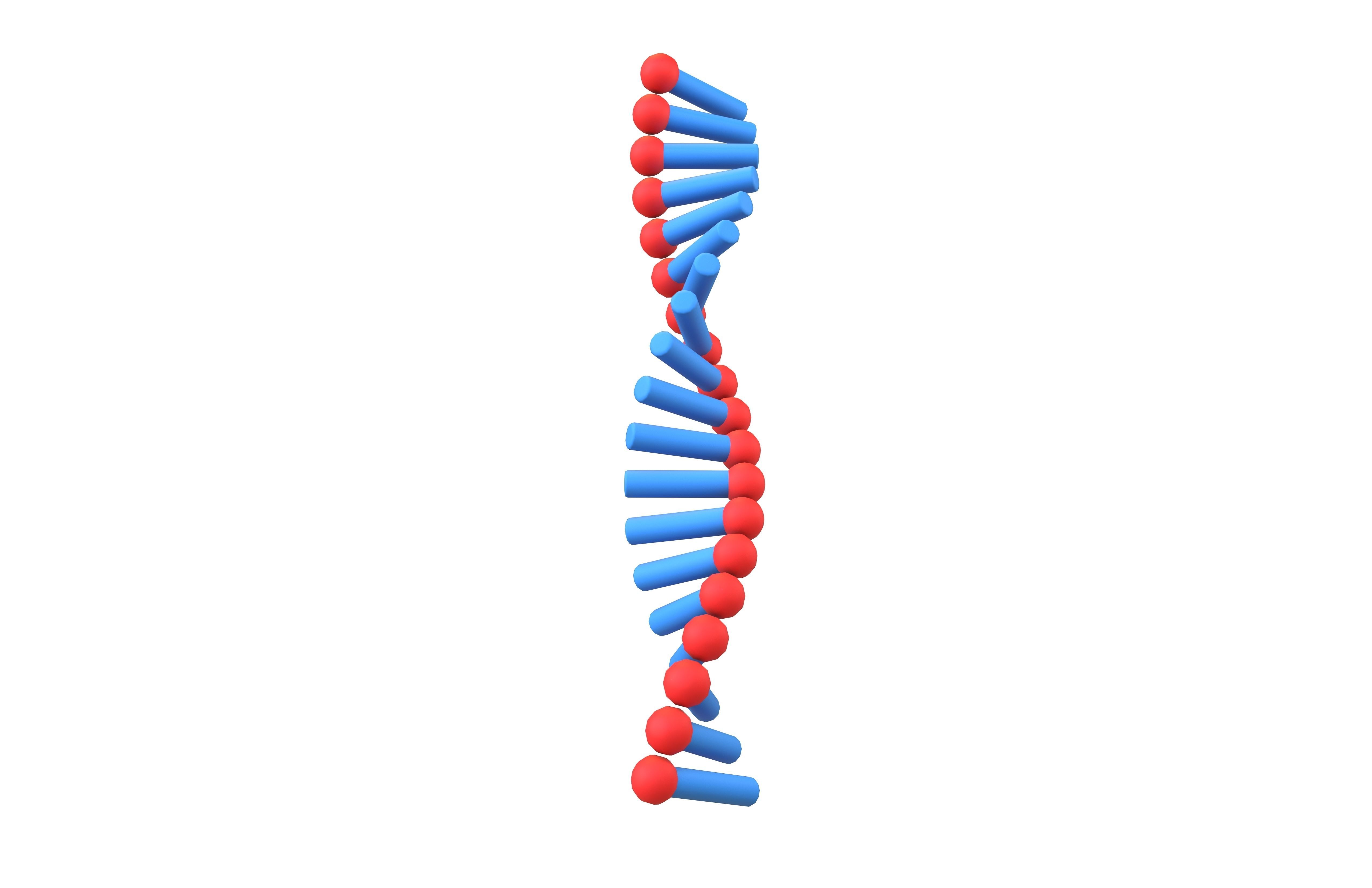 Cartoon RNA Molecule v1 003 Low-poly 3D model_3
