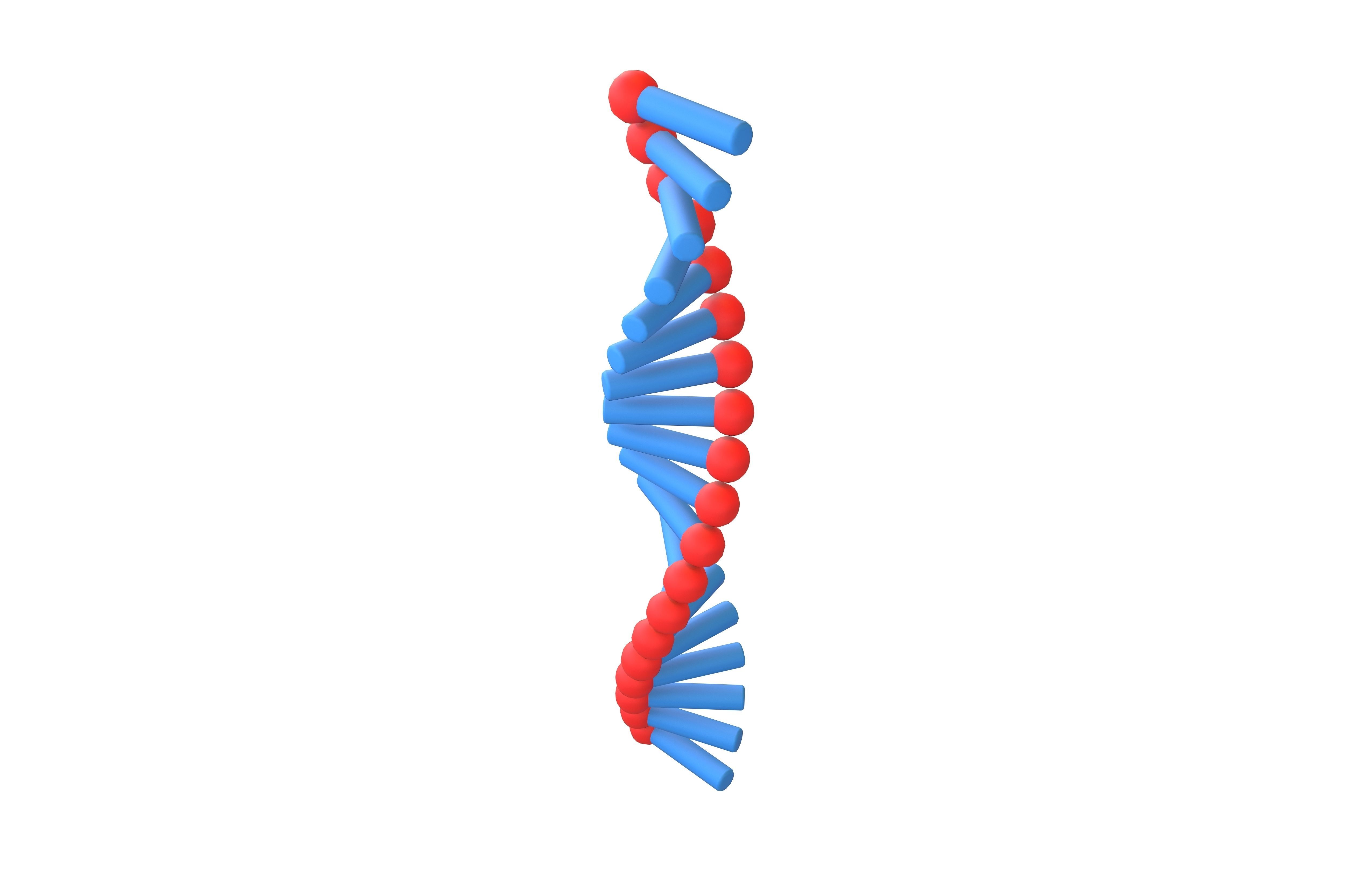 Cartoon RNA Molecule v1 003 Low-poly 3D model_2