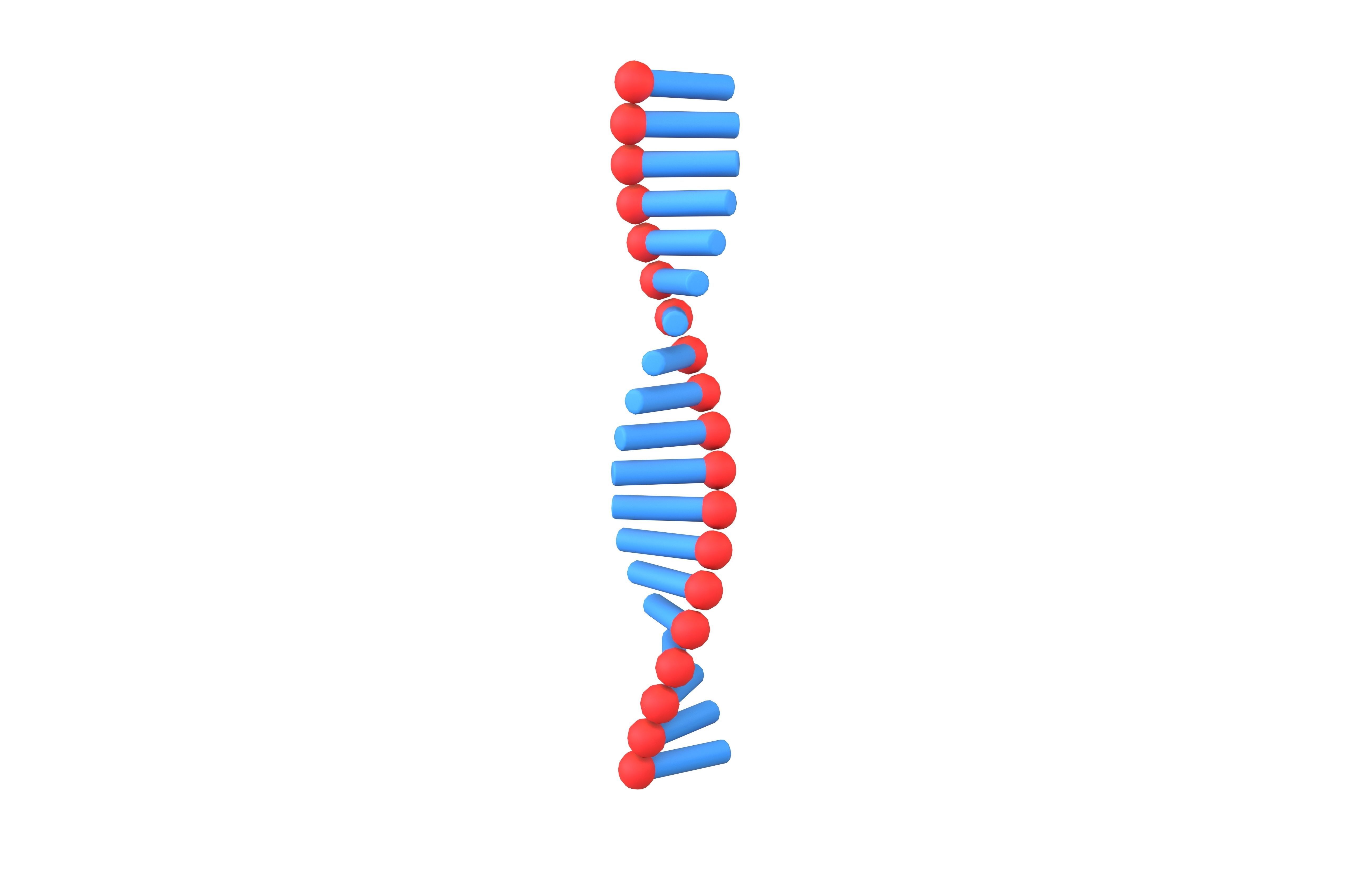 Cartoon RNA Molecule v1 003 Low-poly 3D model_1