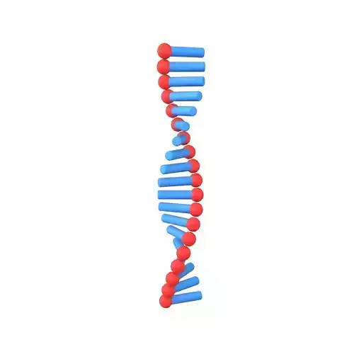 Cartoon RNA Molecule v1 003