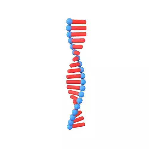 Cartoon RNA Molecule v1 005