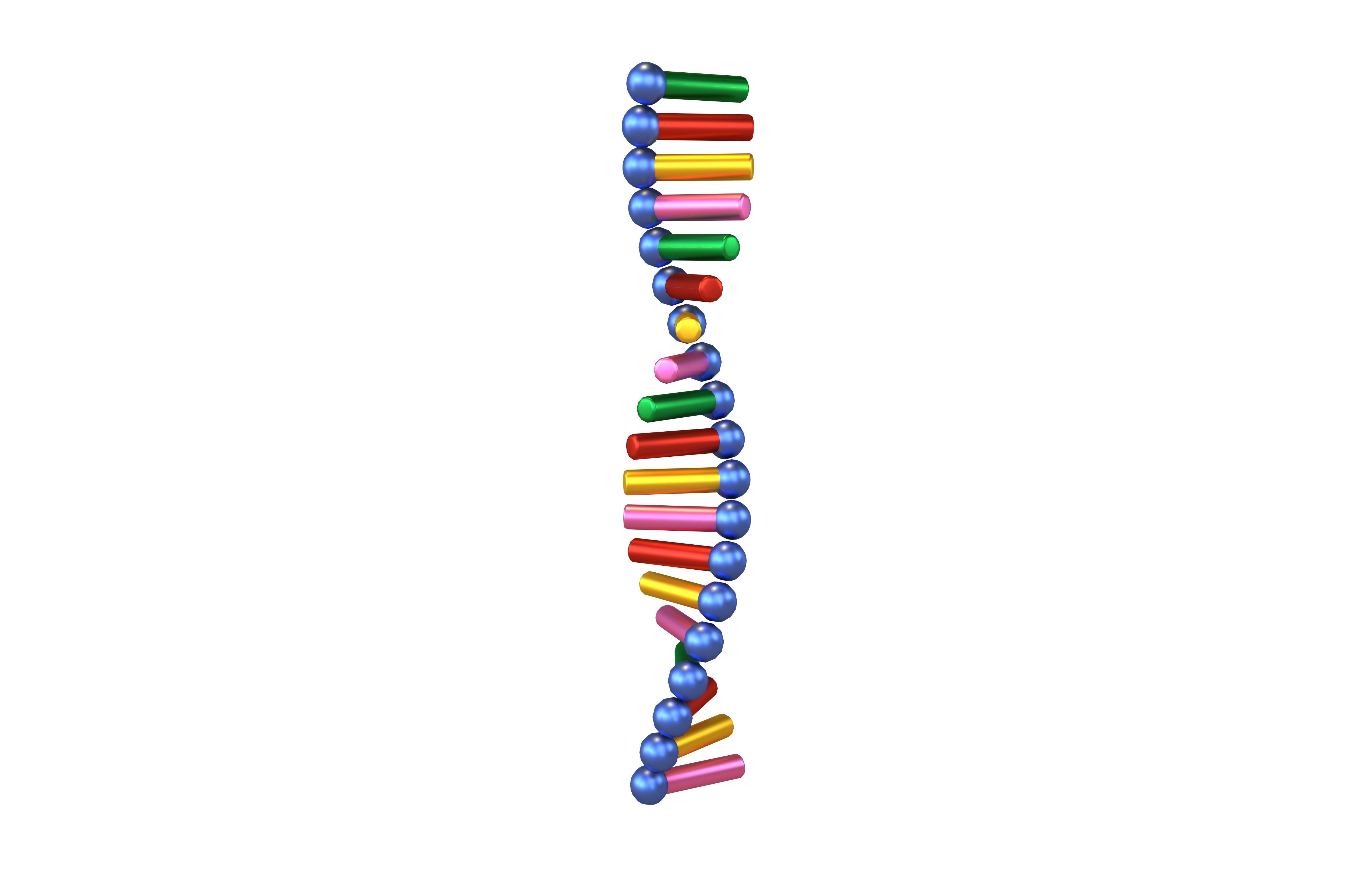 Cartoon RNA Molecule v1 007 Low-poly 3D model_1