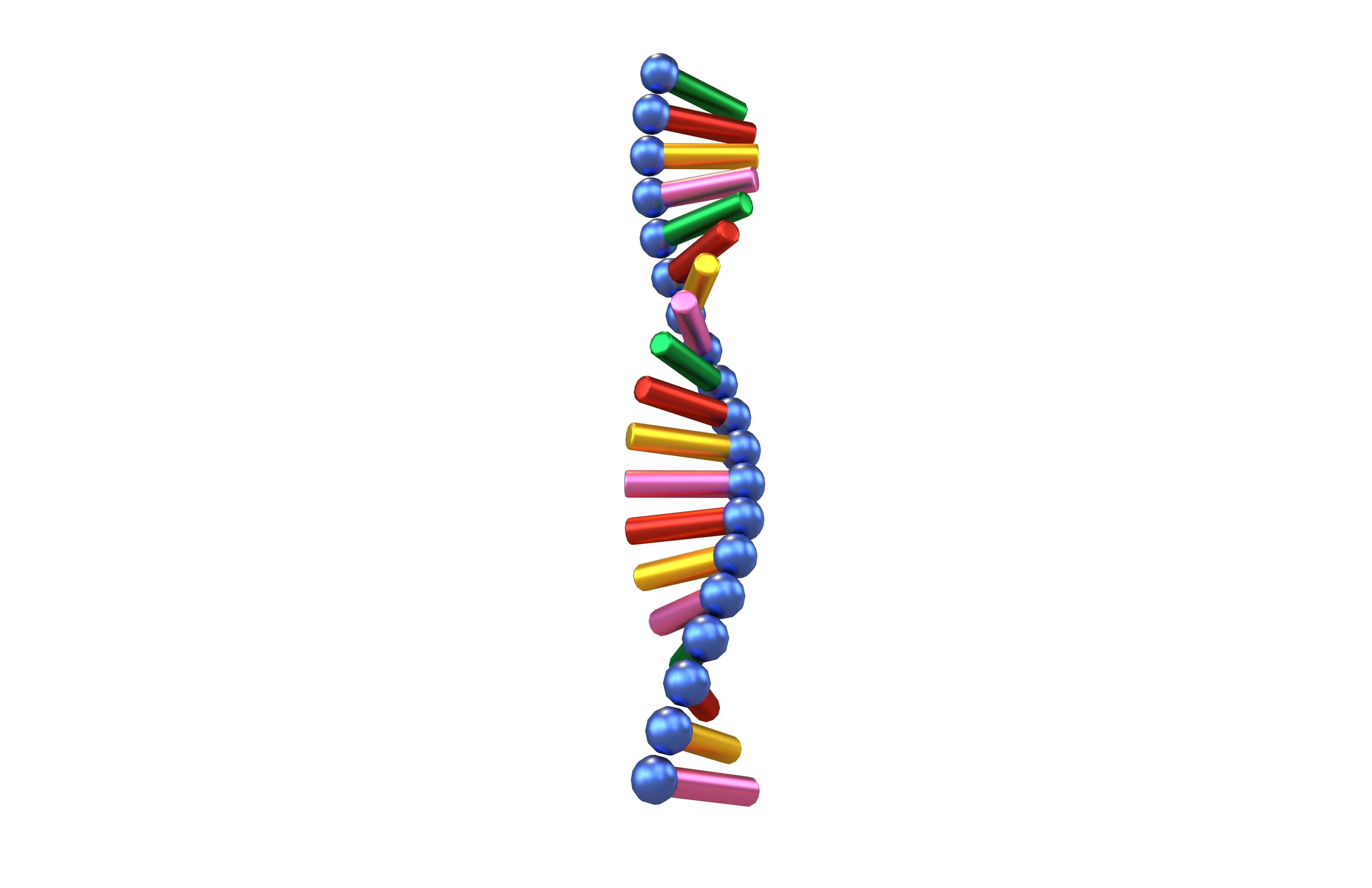 Cartoon RNA Molecule v1 007 Low-poly 3D model_3