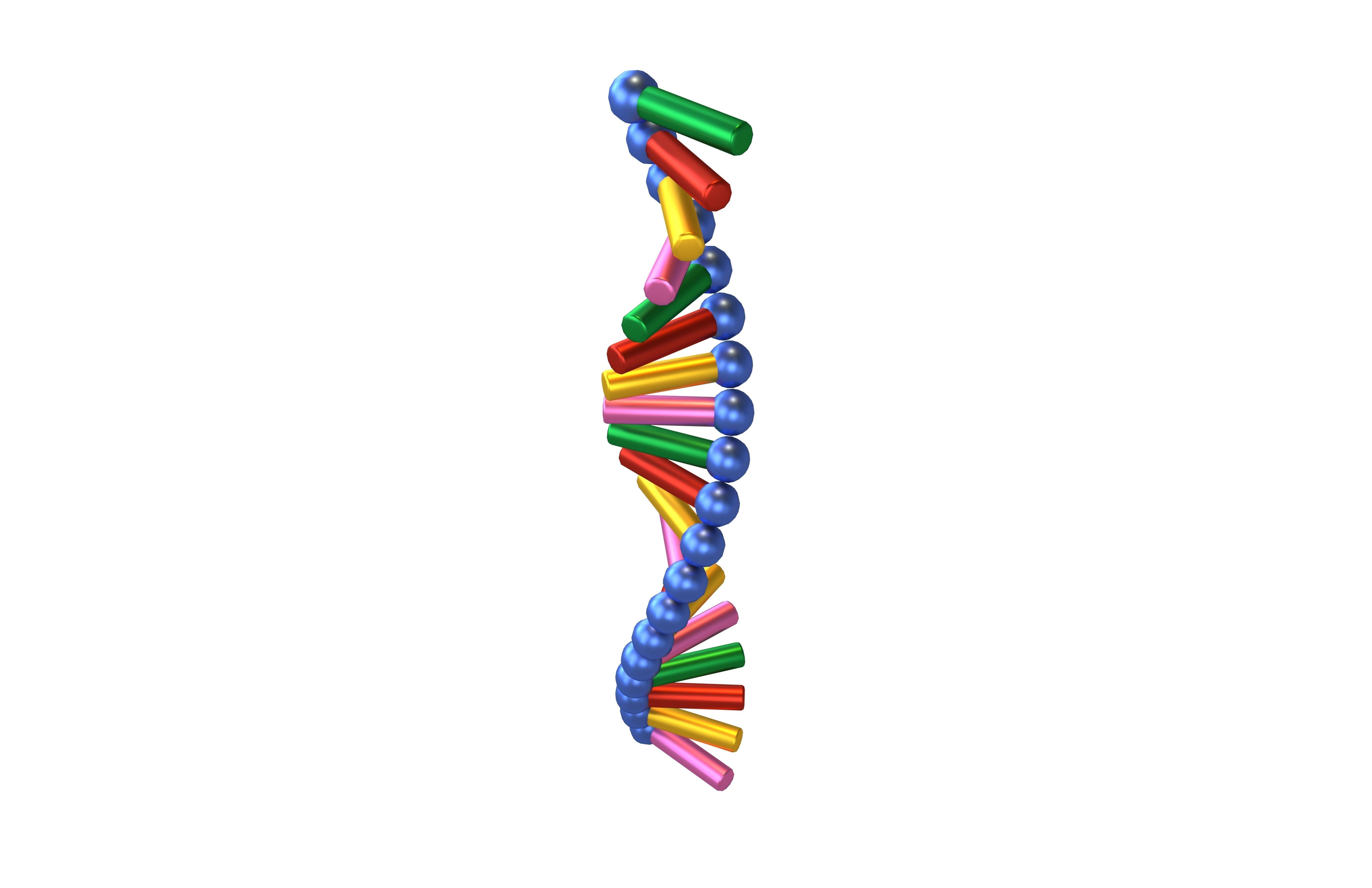 Cartoon RNA Molecule v1 007 Low-poly 3D model_2
