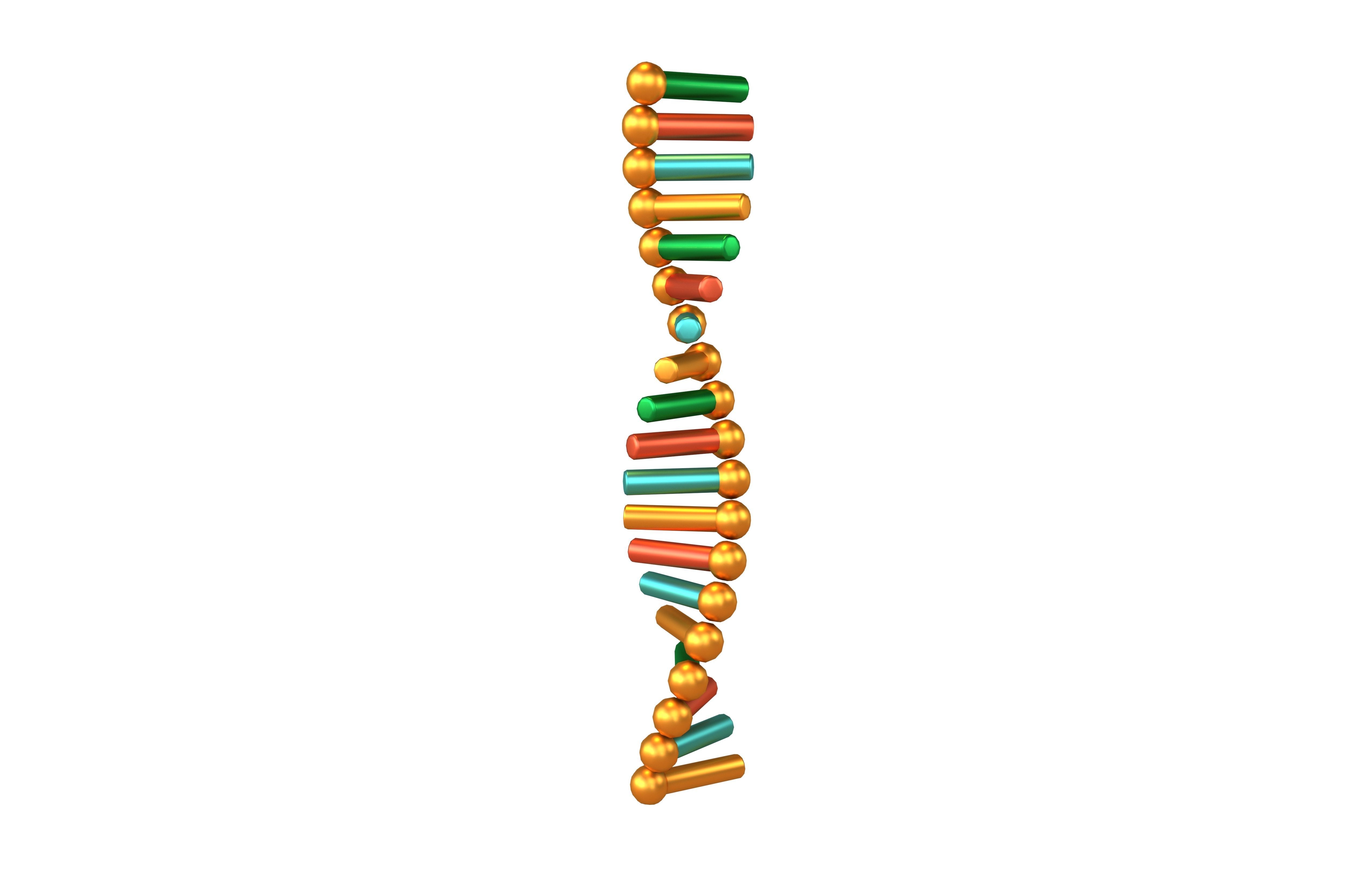 Cartoon RNA Molecule v1 008 Low-poly 3D model_1