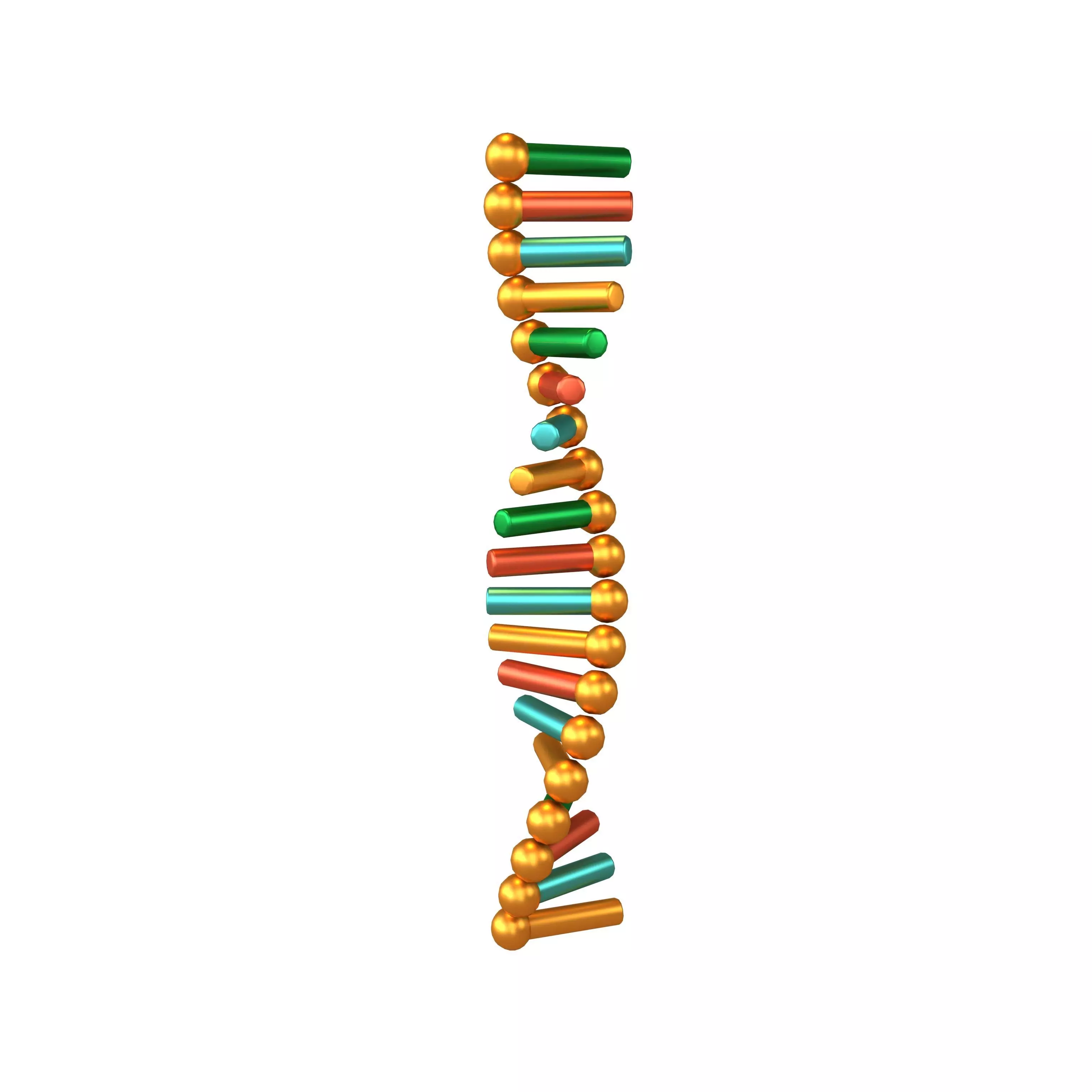 Cartoon RNA Molecule v1 008 Low-poly 3D model_0