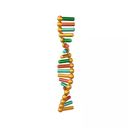 Cartoon RNA Molecule v1 008 Low-poly 3D model