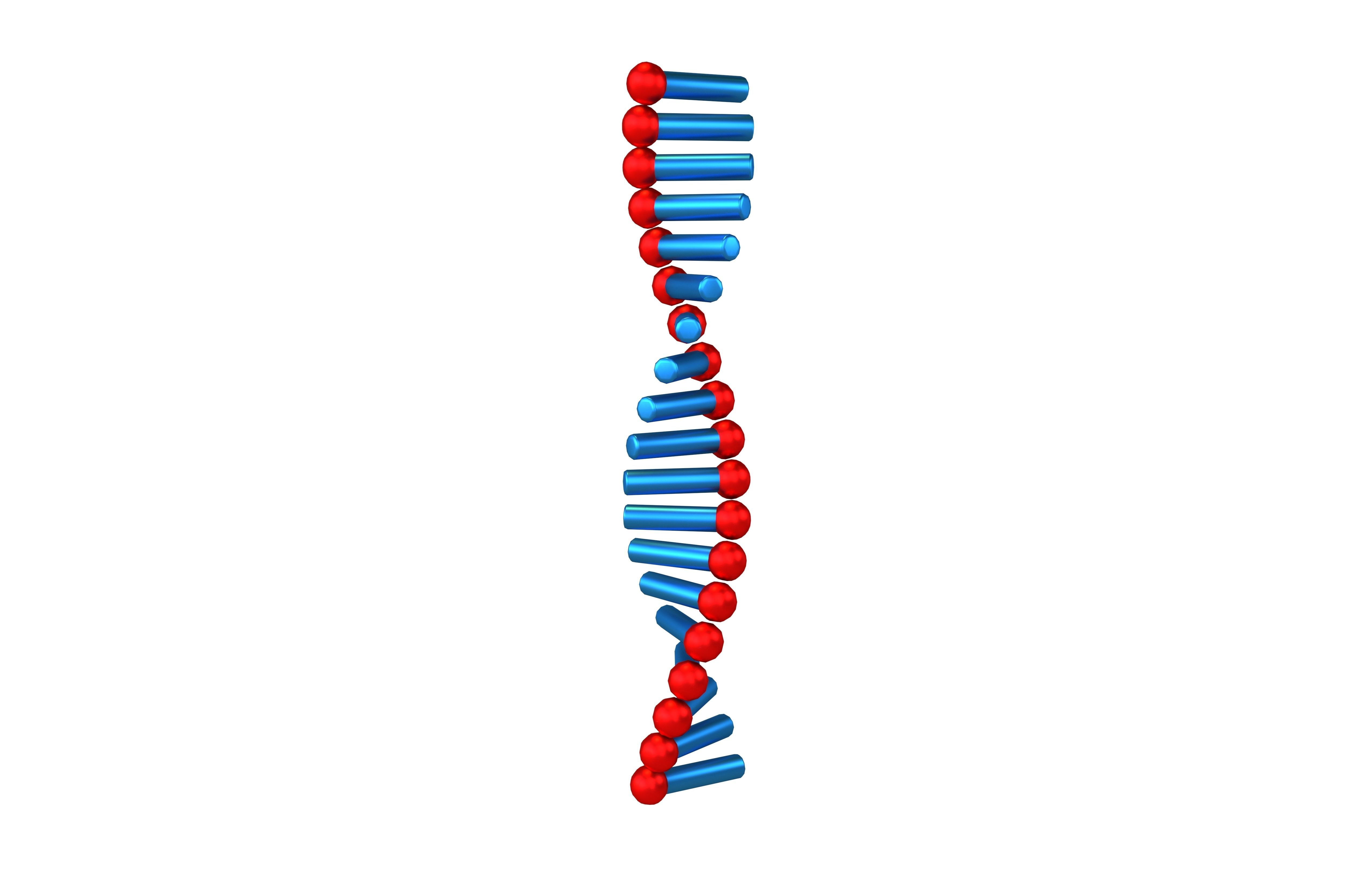 Cartoon RNA Molecule v1 009 Low-poly 3D model_1