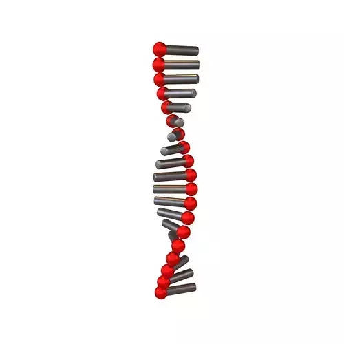 Cartoon RNA Molecule v1 010 Low-poly 3D model