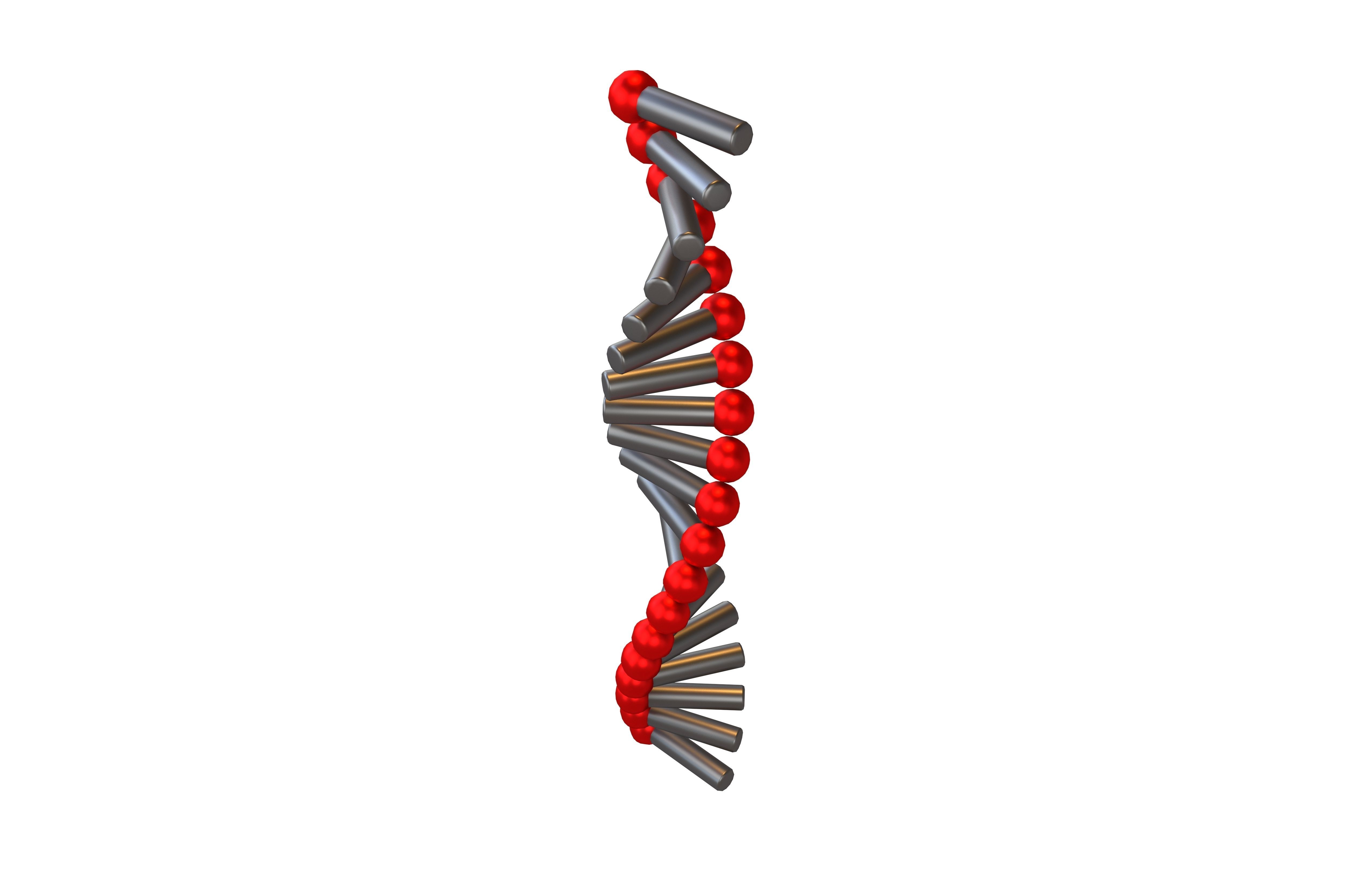 Cartoon RNA Molecule v1 010 Low-poly 3D model_2
