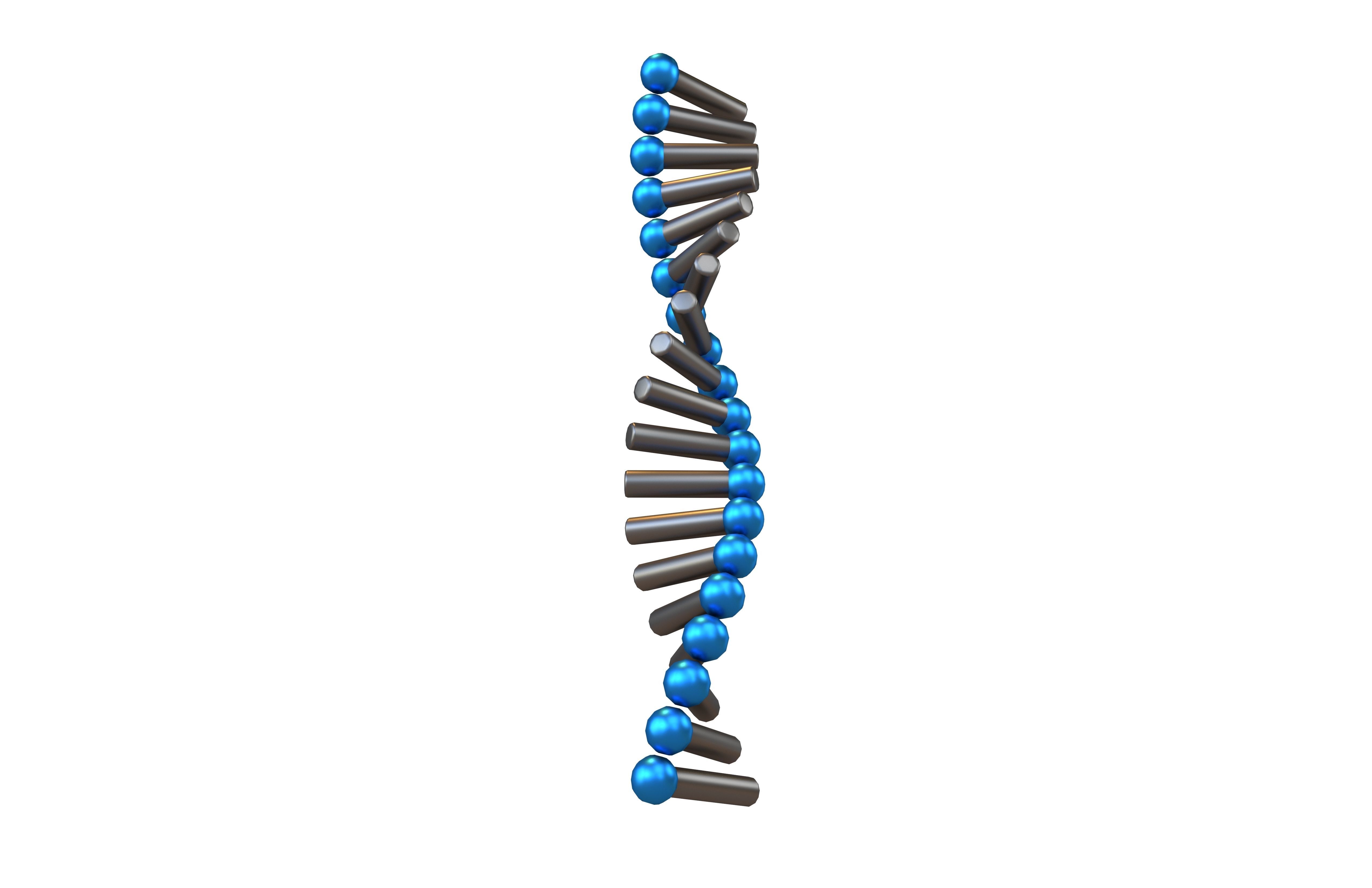 Cartoon RNA Molecule v1 012 Low-poly 3D model_3