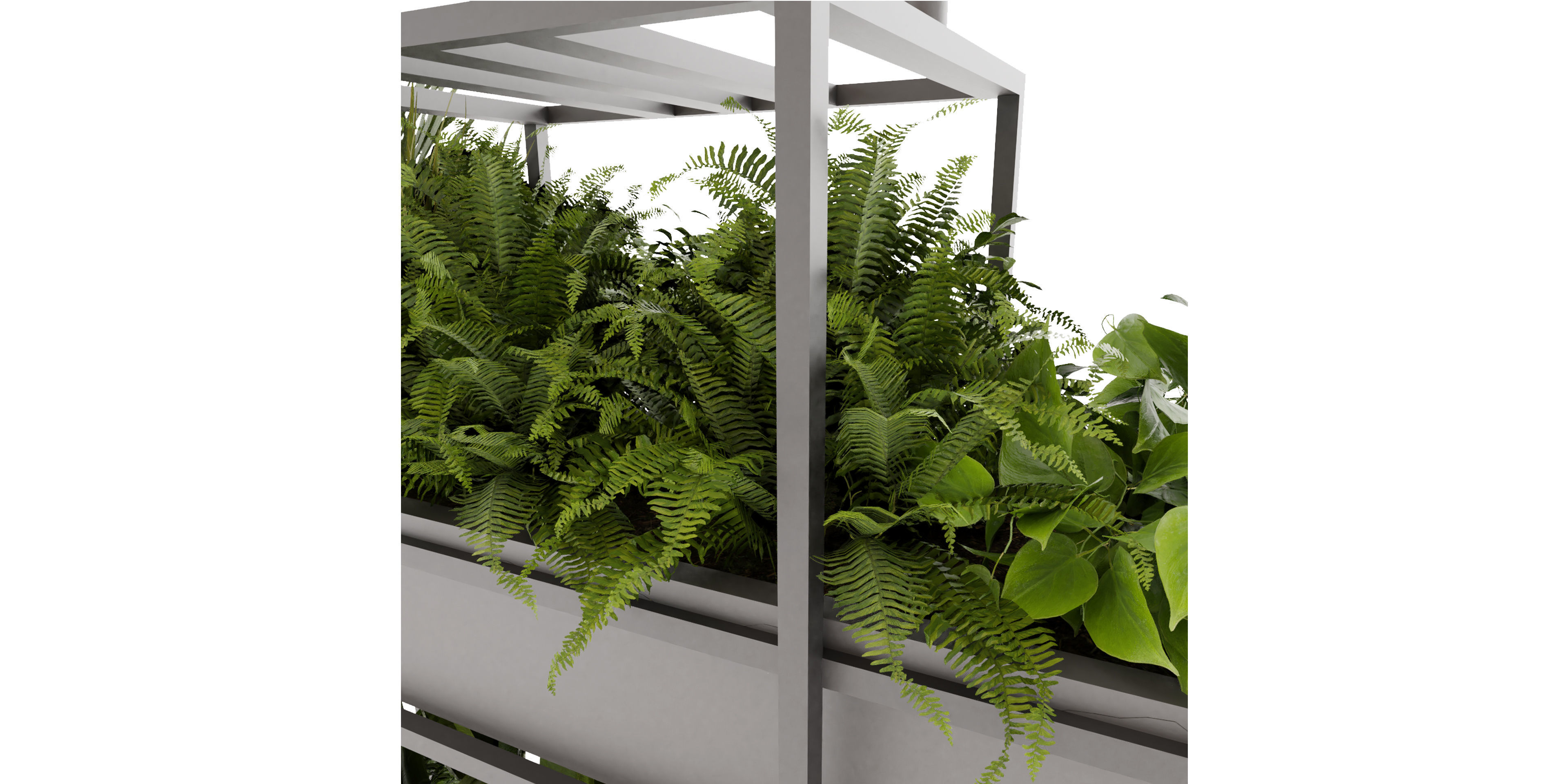 Collection plant vol 491 - hanging - bush - blender model 3D model_3