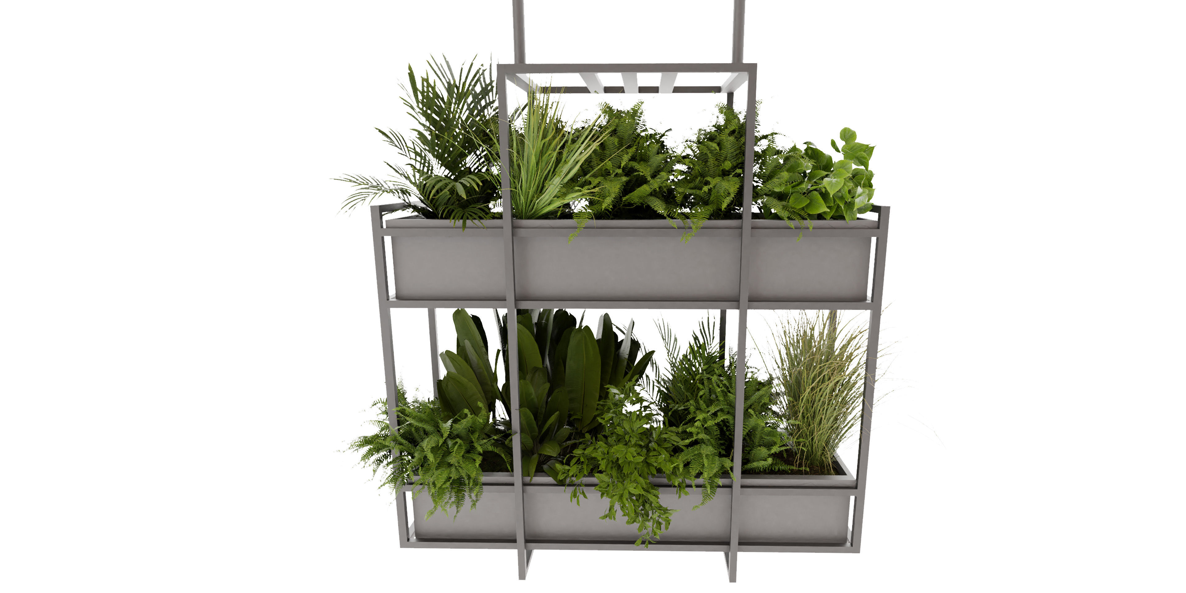 Collection plant vol 491 - hanging - bush - blender model 3D model_2