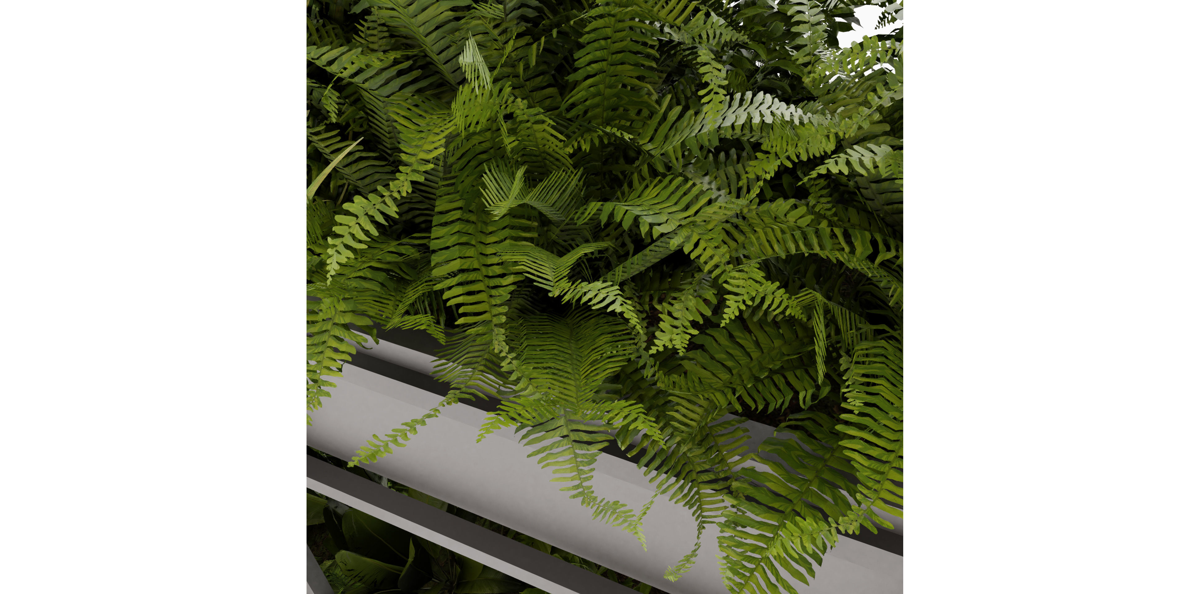 Collection plant vol 491 - hanging - bush - blender model 3D model_5