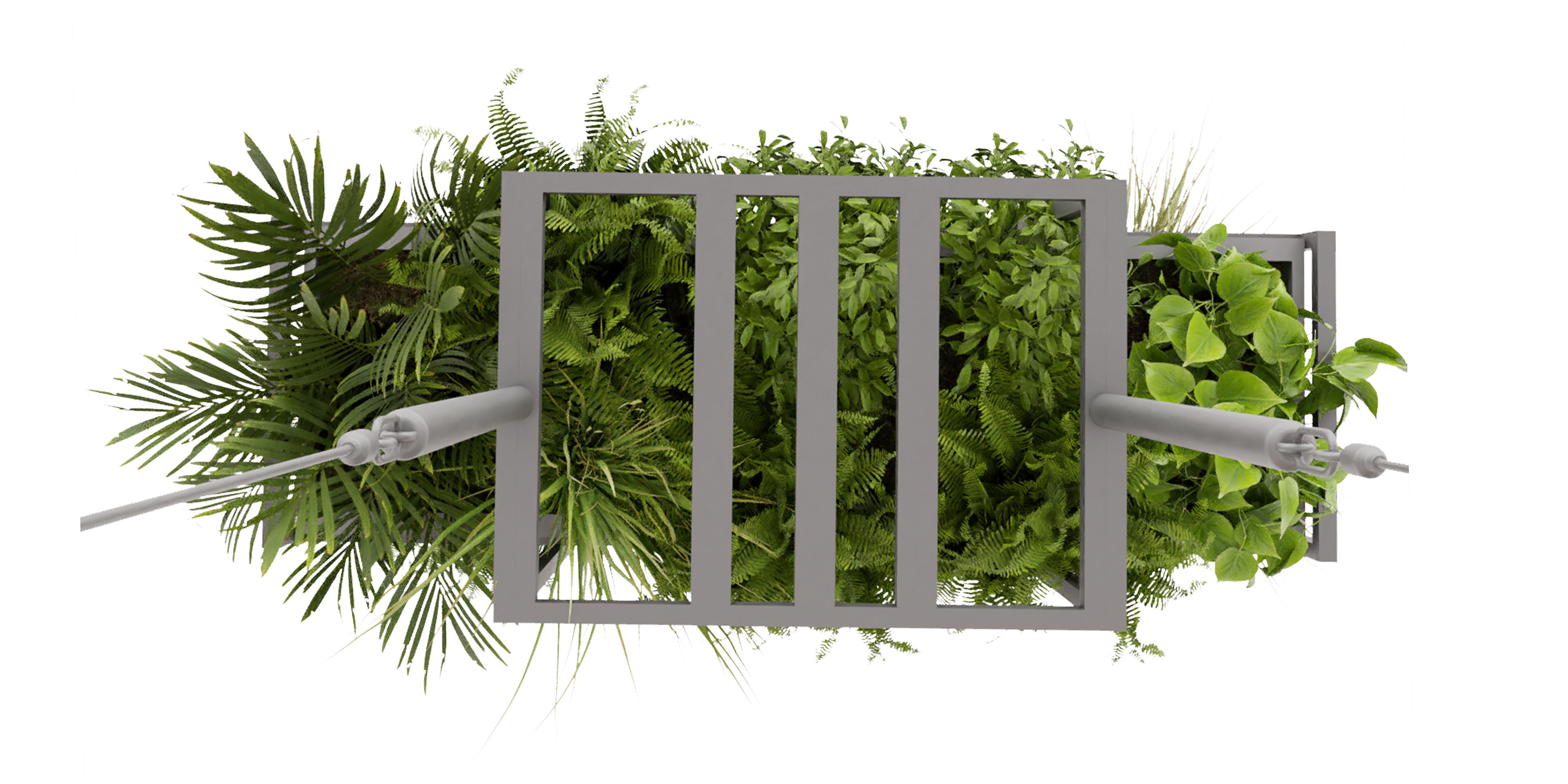 Collection plant vol 491 - hanging - bush - blender model 3D model_4