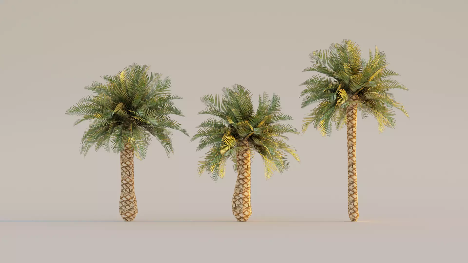 low poly palm trees for forest or exterior Low-poly 3D model