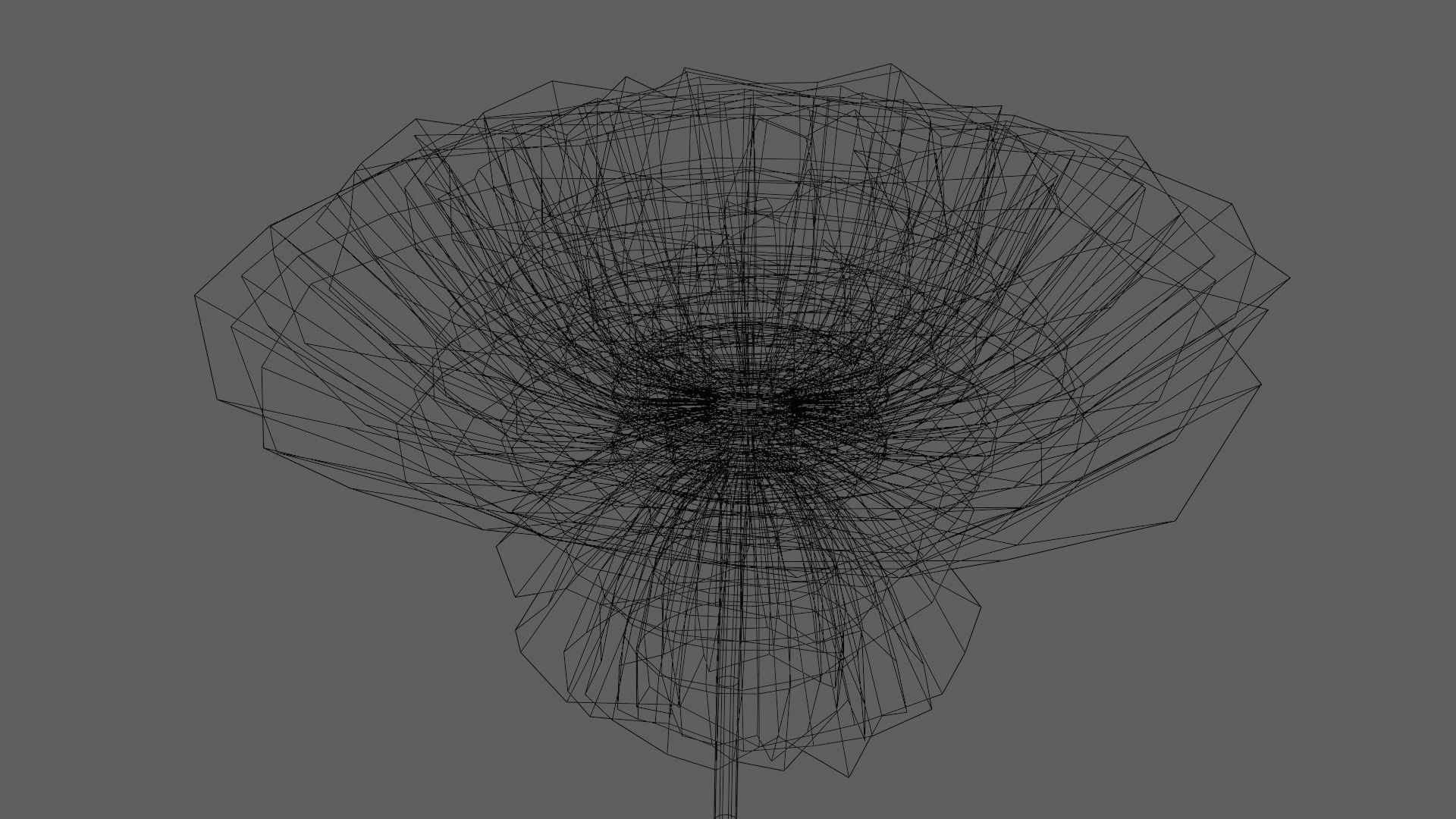 Aster Flower - Low Poly Low-poly 3D model_7