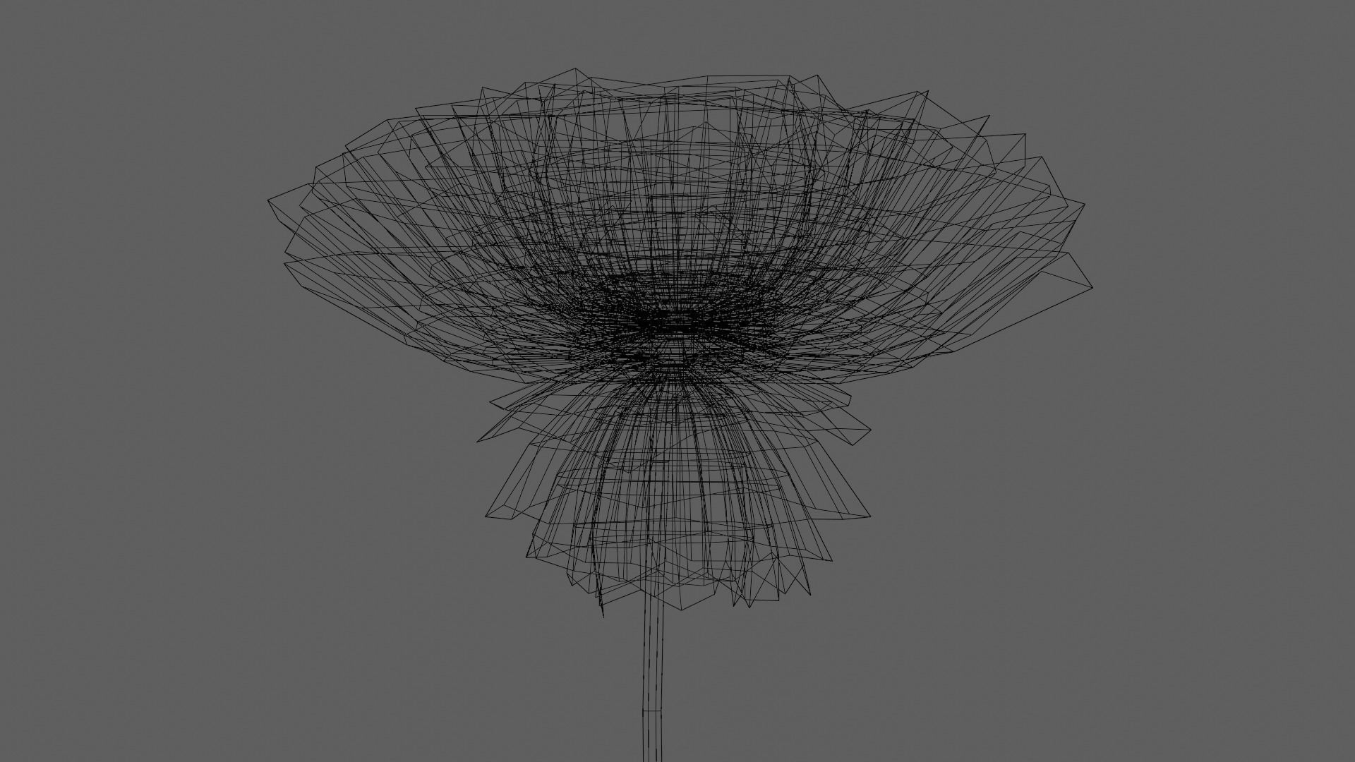 Aster Flower - Low Poly Low-poly 3D model_9