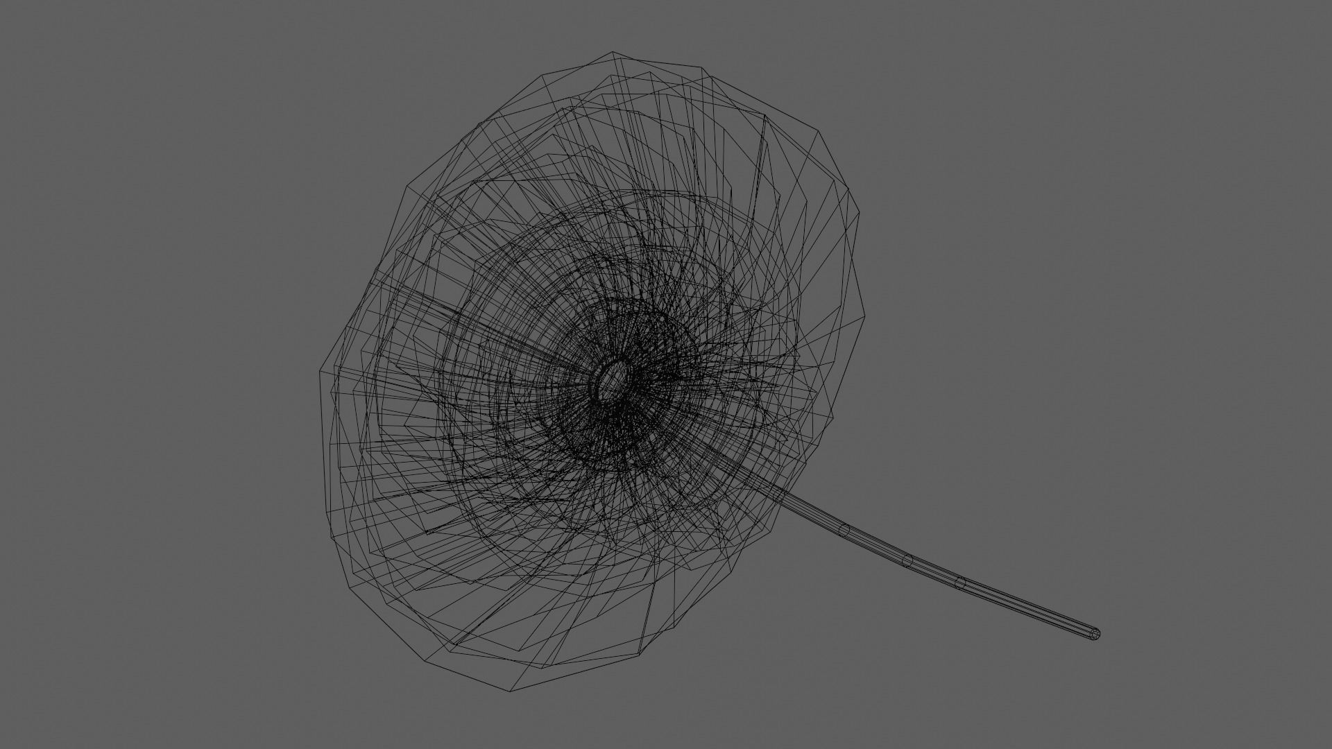 Aster Flower - Low Poly Low-poly 3D model_6