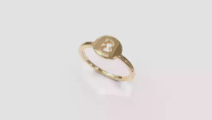 Eight ring 3D print model