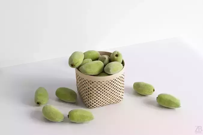 Almond 3D model