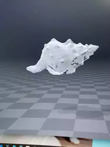 Sea shell 3D print model