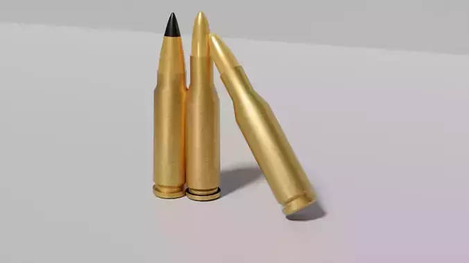 Bullets 308 Winchester 220 Swift