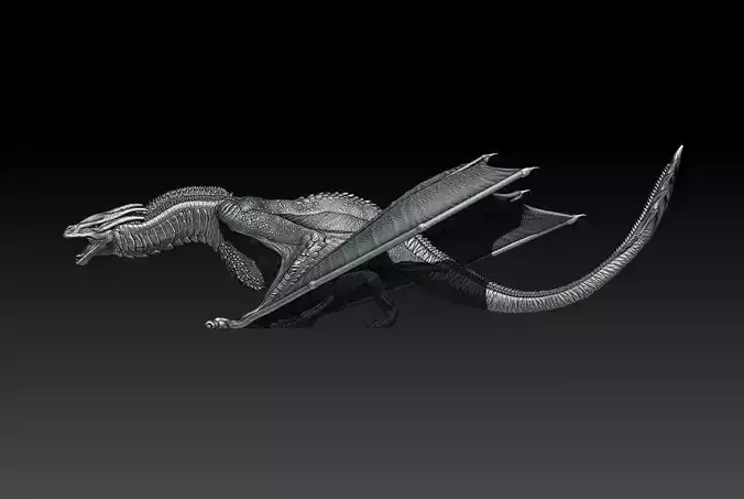 DRAGON MODEL 3D print model