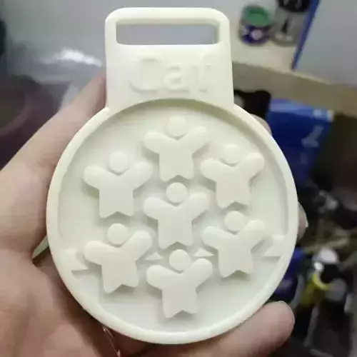 medaille de la Caf medal RSA caisse allocation familiale 3D print model