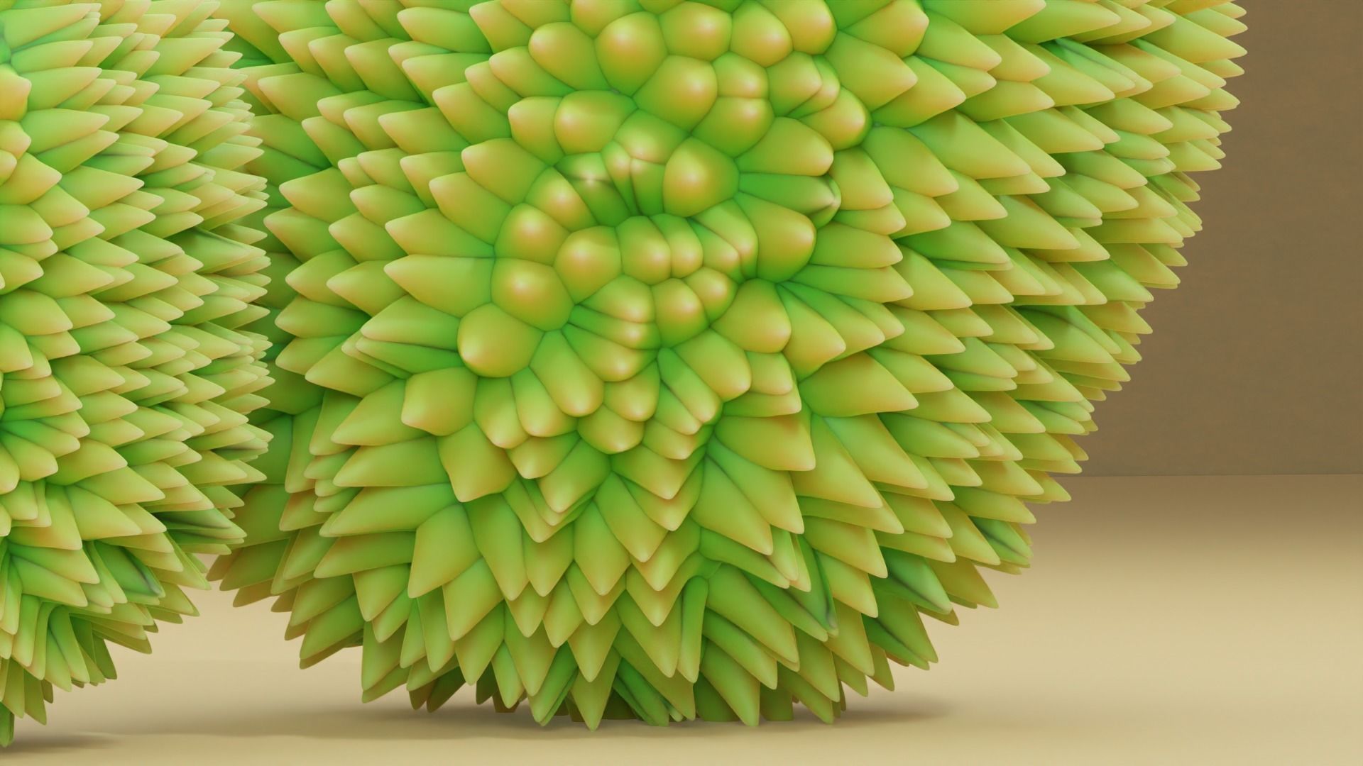 Durian New Version 3D model_4