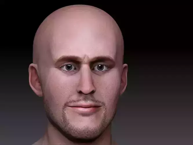 realistic head