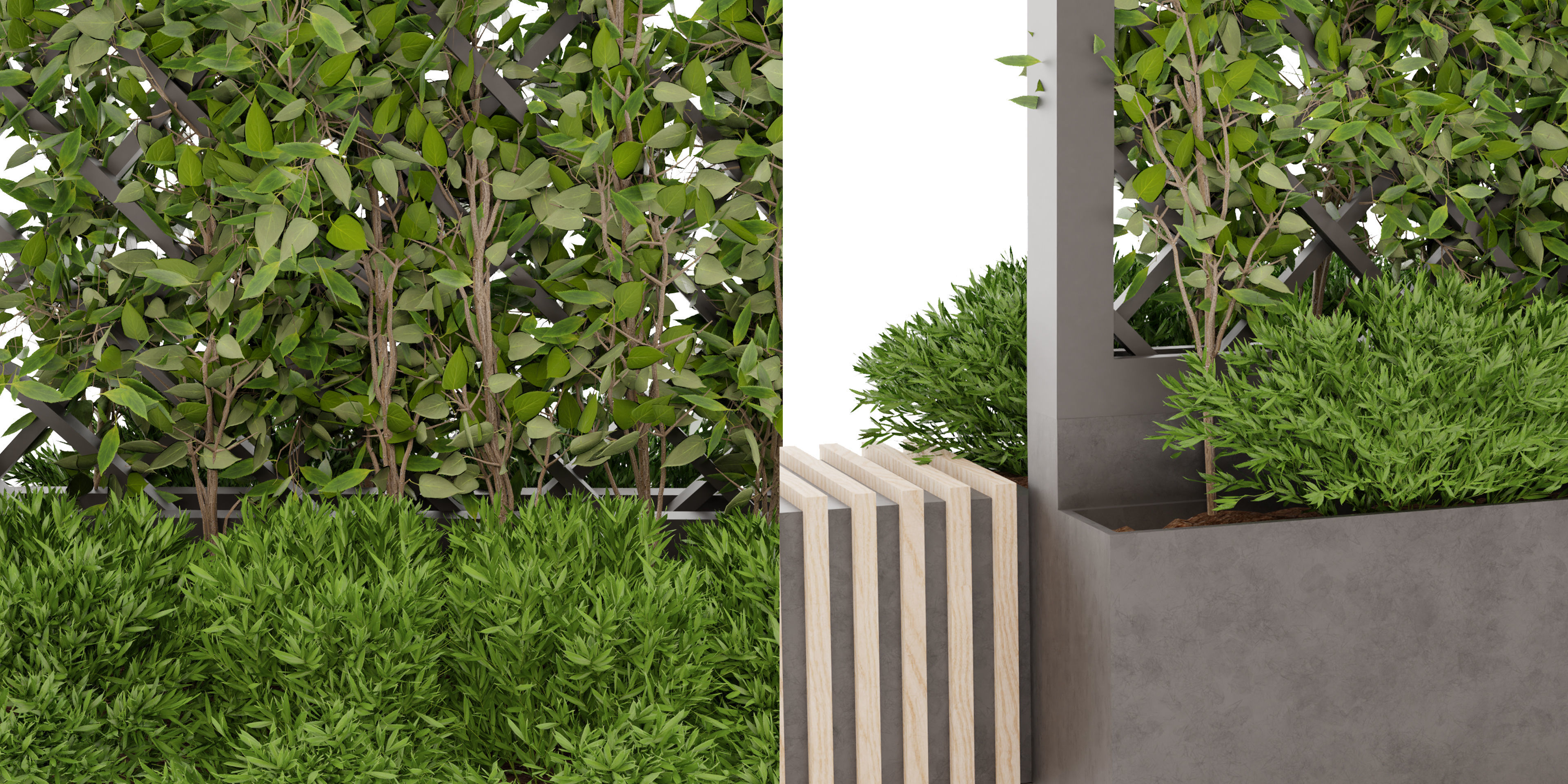 Collection plant vol 16 - blender model 3D model_4