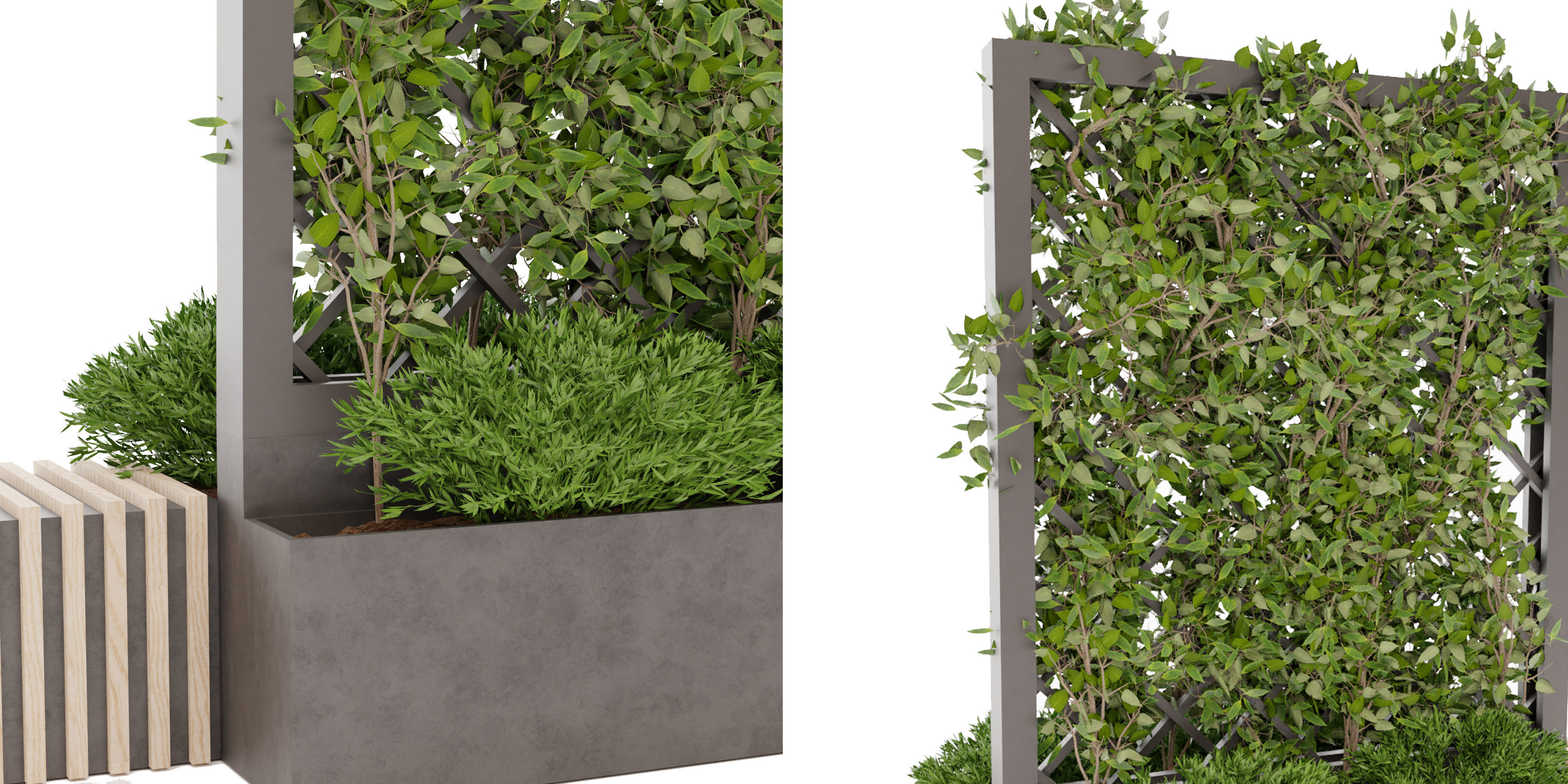 Collection plant vol 16 - blender model 3D model_3