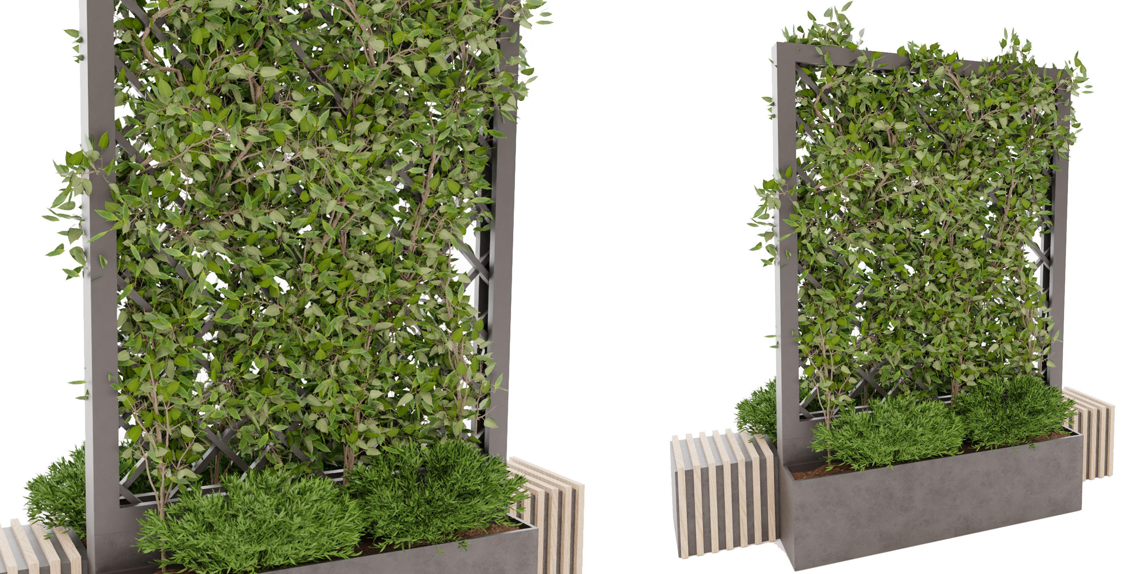 Collection plant vol 16 - blender model 3D model_2