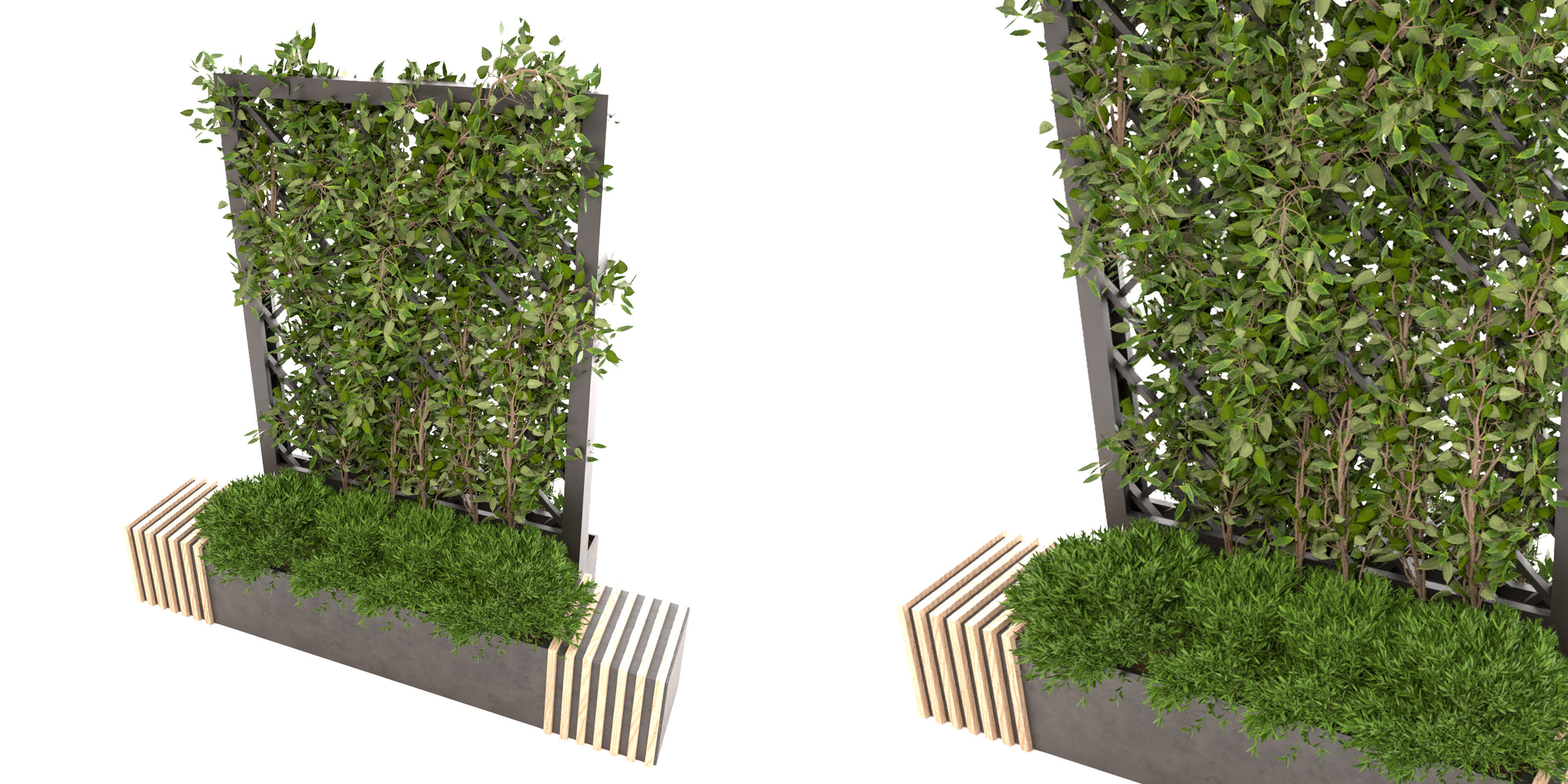 Collection plant vol 16 - blender model 3D model_1