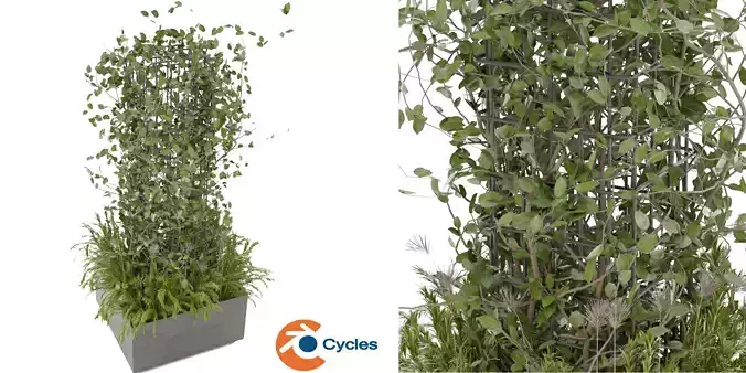 Collection plant vol 17 - blender model 3D model