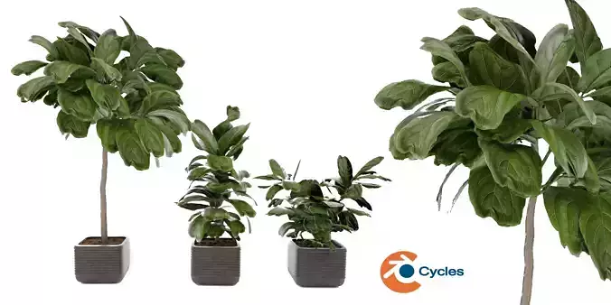  Collection plant vol 18 - blender model