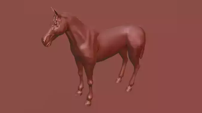 horse